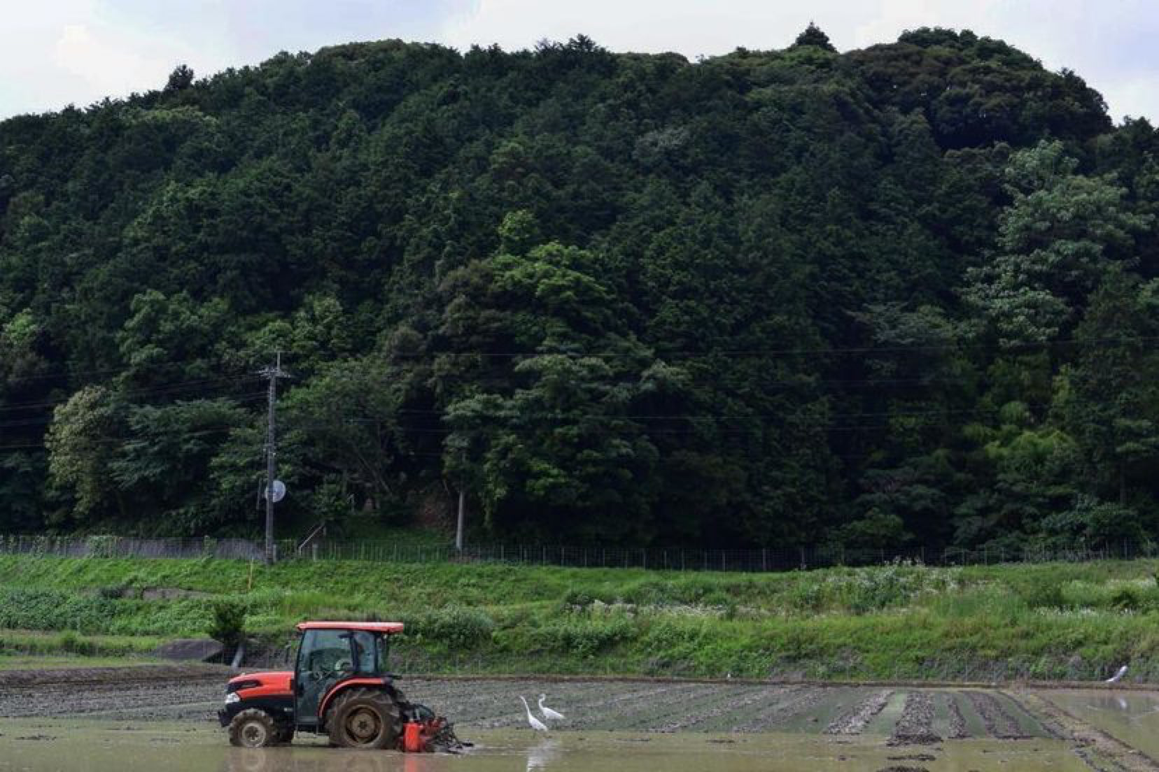 而今に潜る