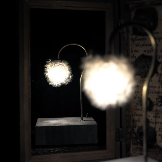 対 話 - はいいろオオカミ -