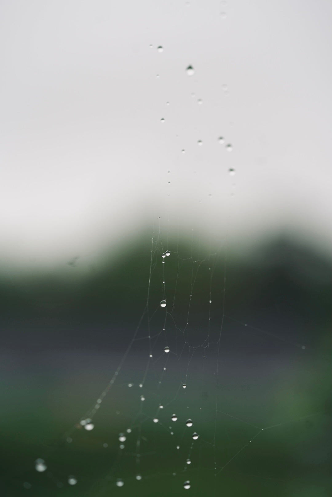 わたしのさかひ