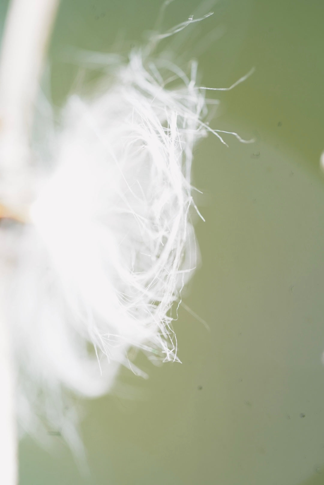 手仕事がせいかつで、せいかつが手仕事