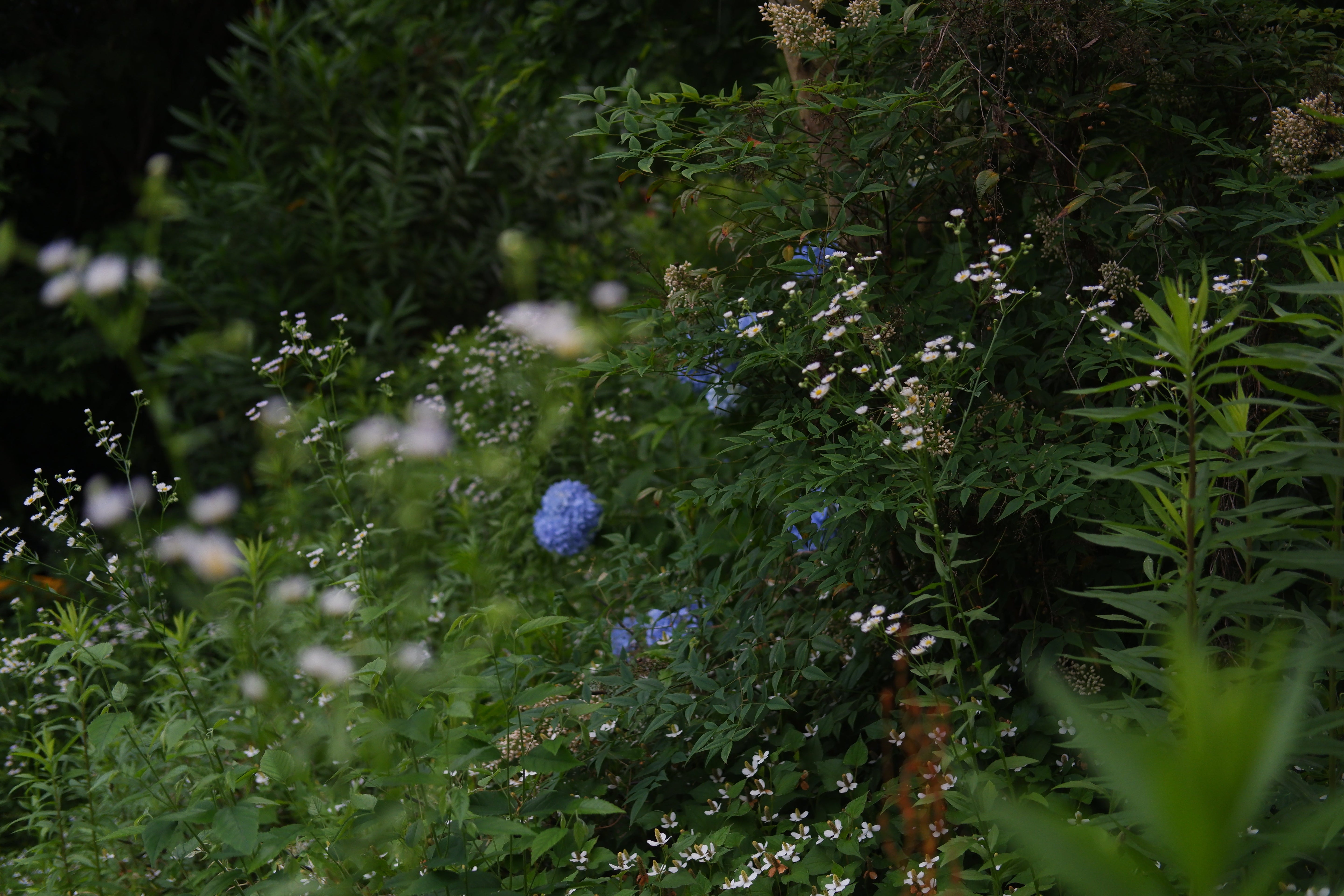 足の裏から気づくこと