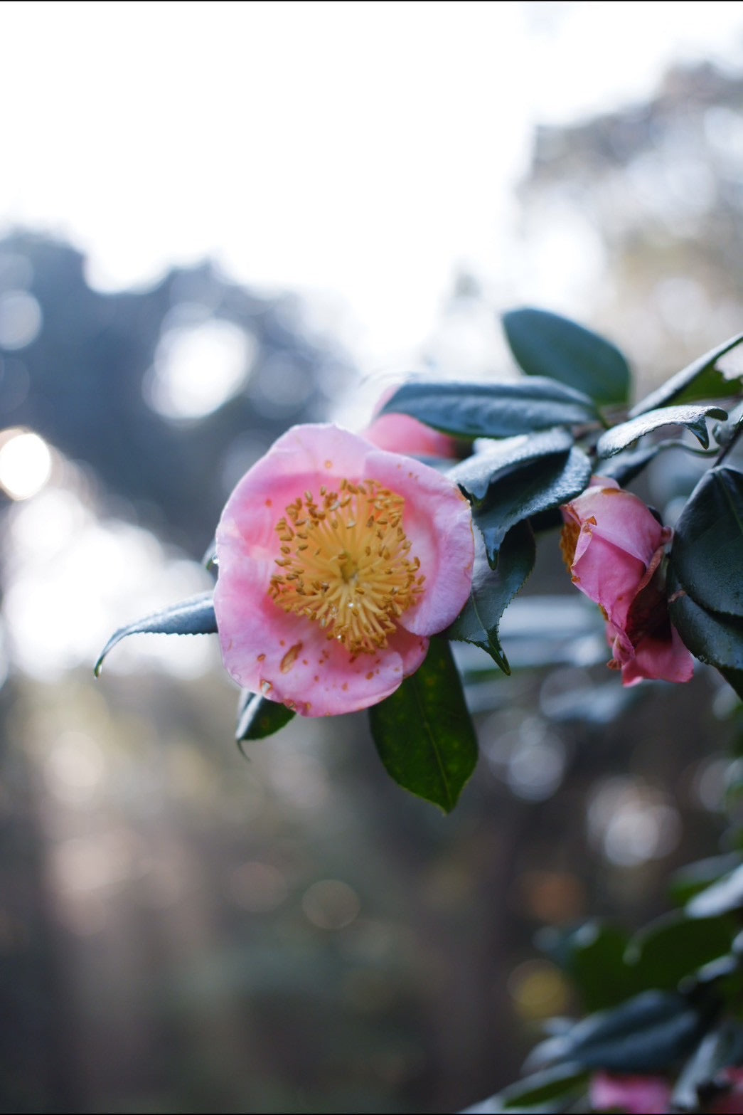 今という一瞬に宿るもの