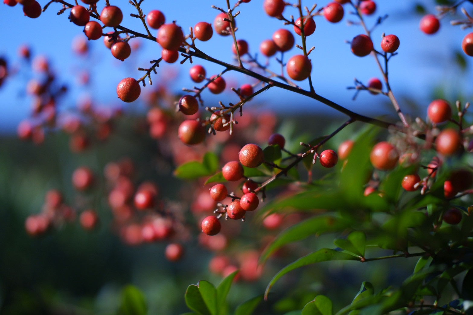 大切なものは奥にある