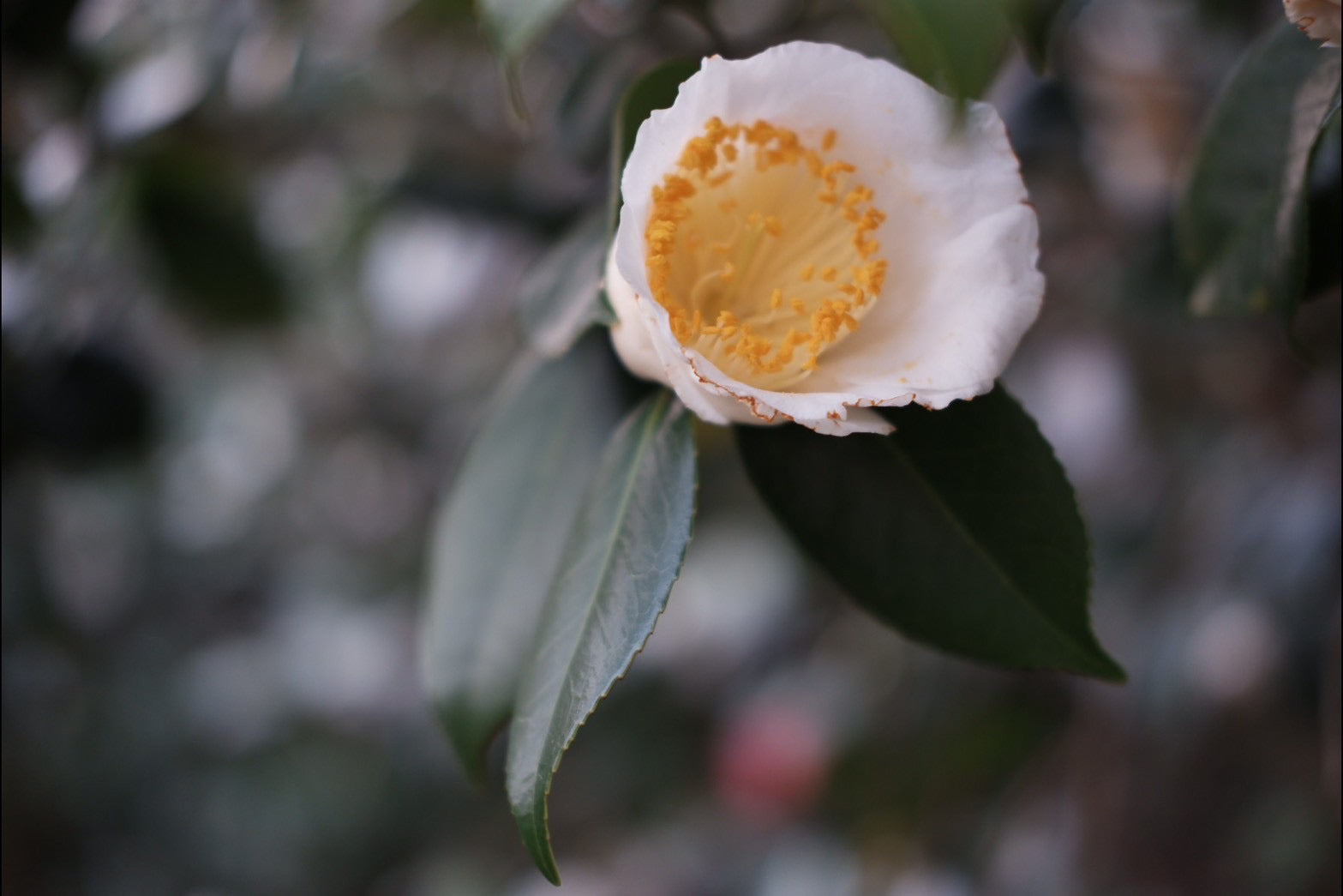 こつこつという日々の祈り