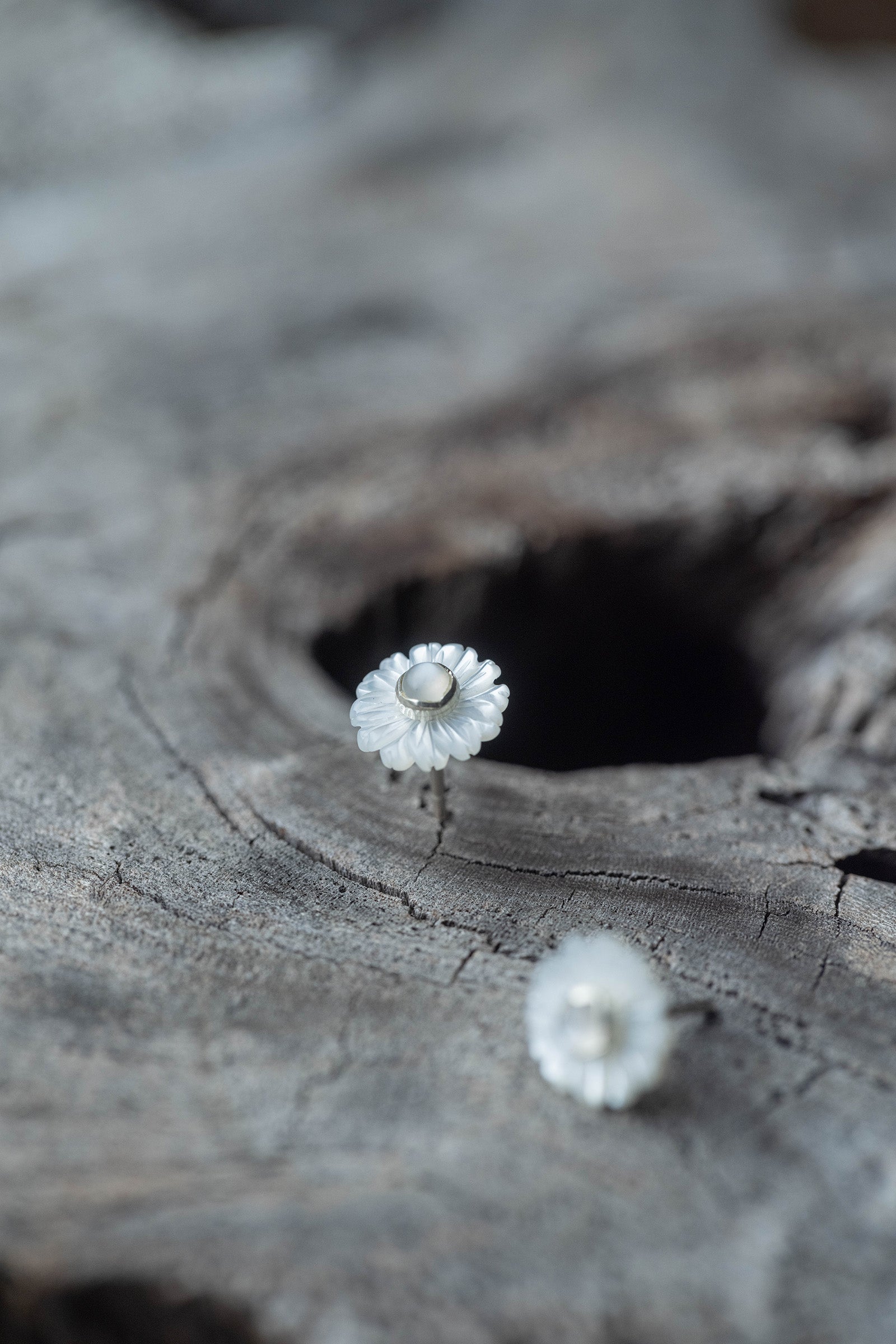 silver earrings pair moonstone + daisy flower pearl small