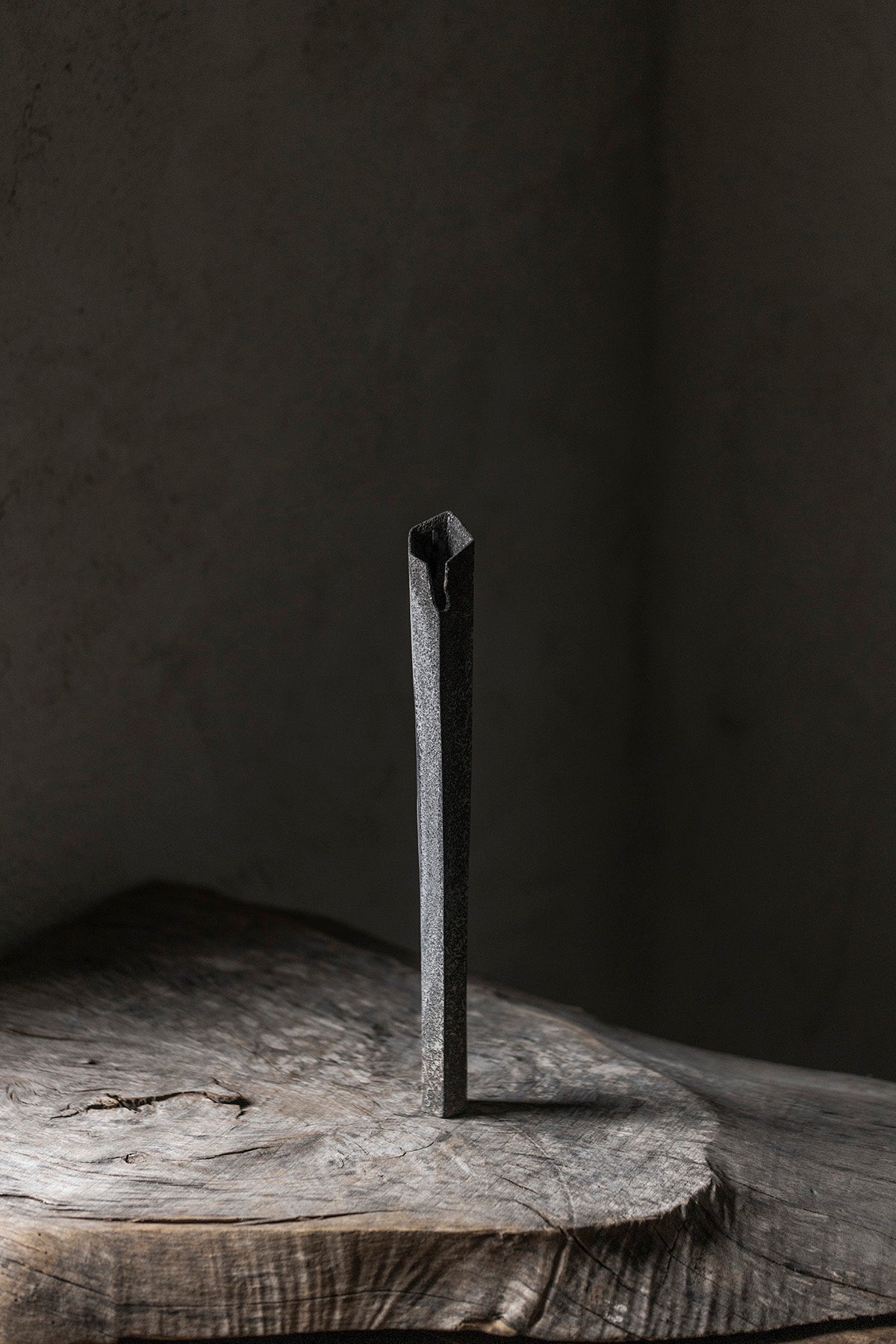 福村龍太 炭化掛け花 49