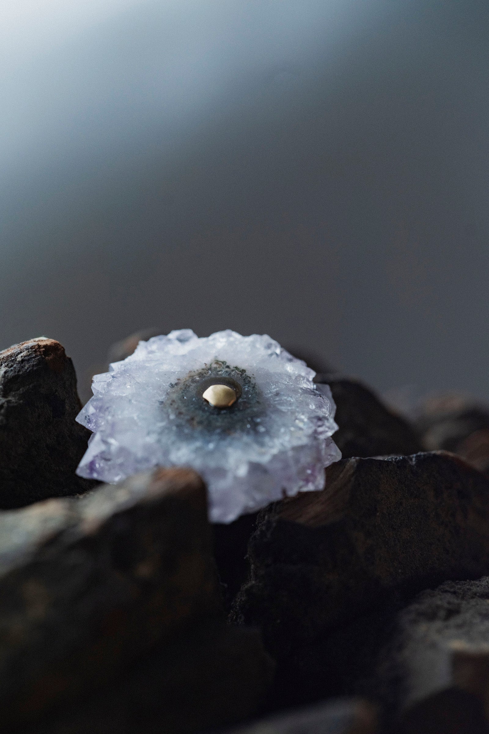18K earrings amethyst slice big ( single )