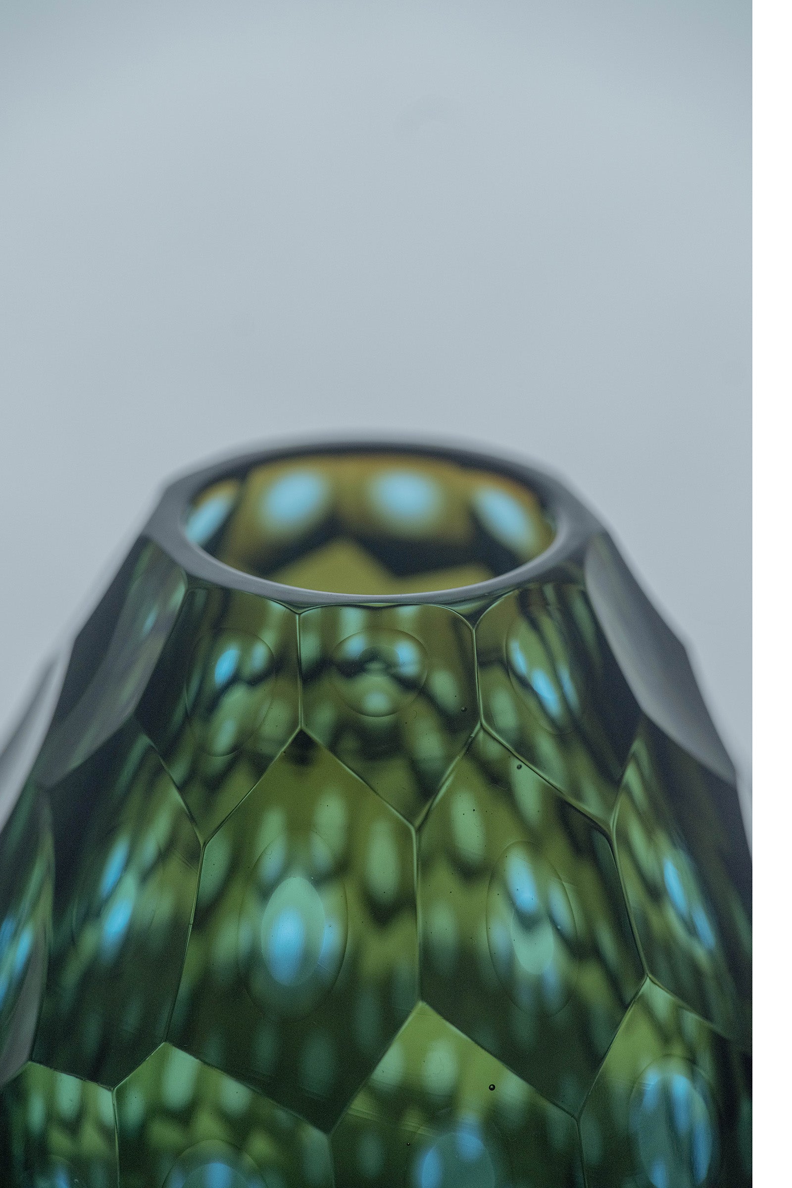 西垣 聡 Seed flower vase 10-k