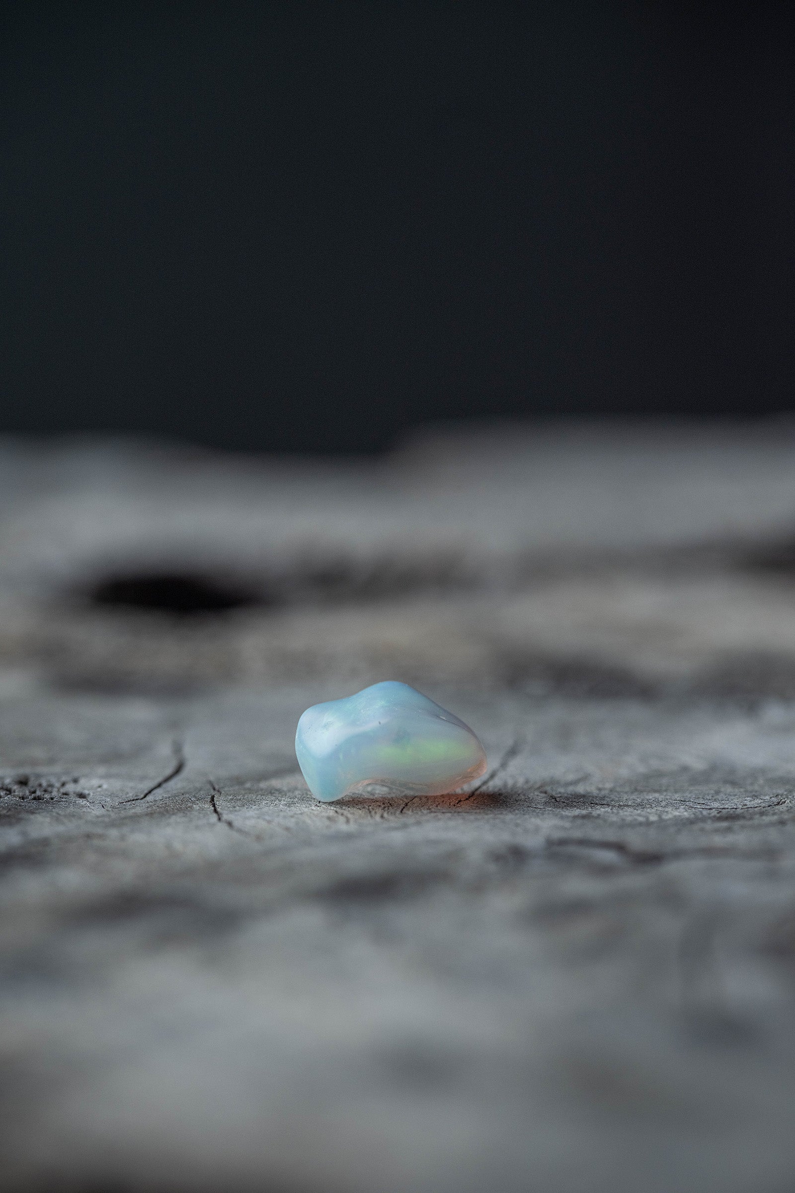 18K earrings single pearl