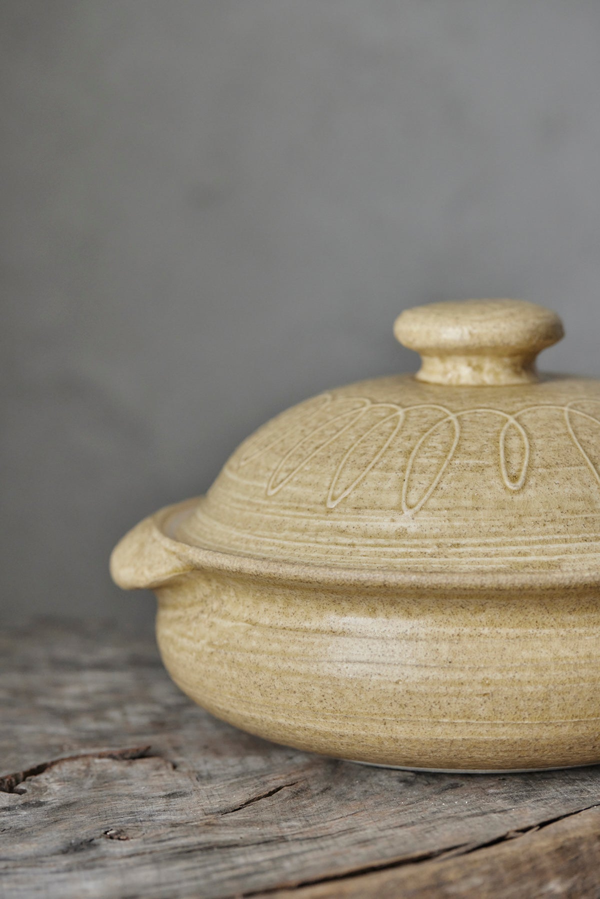 Yoji Yamada Earthenware Pot A Y46-1