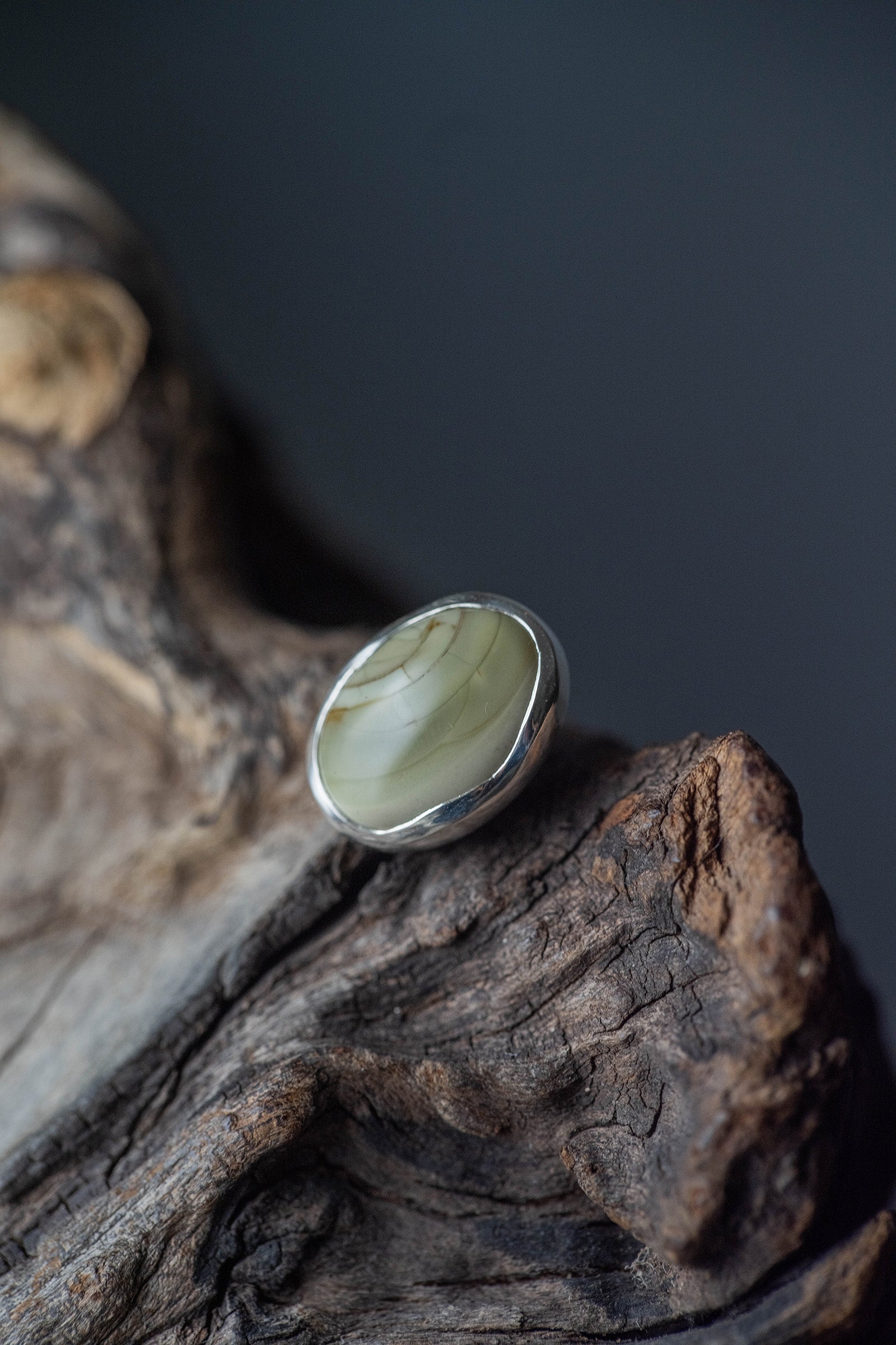 silver earrings single jasper