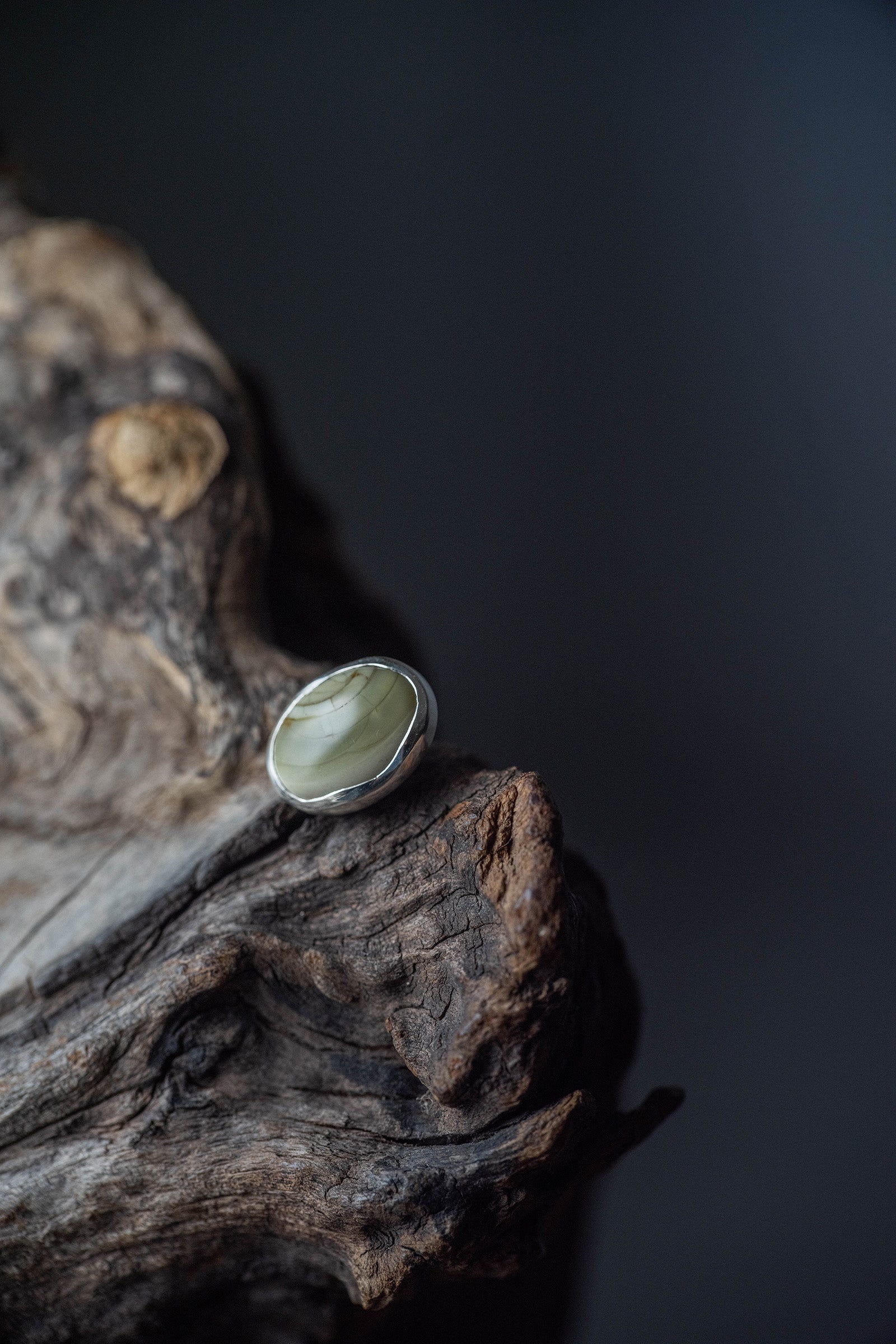 silver earrings single jasper