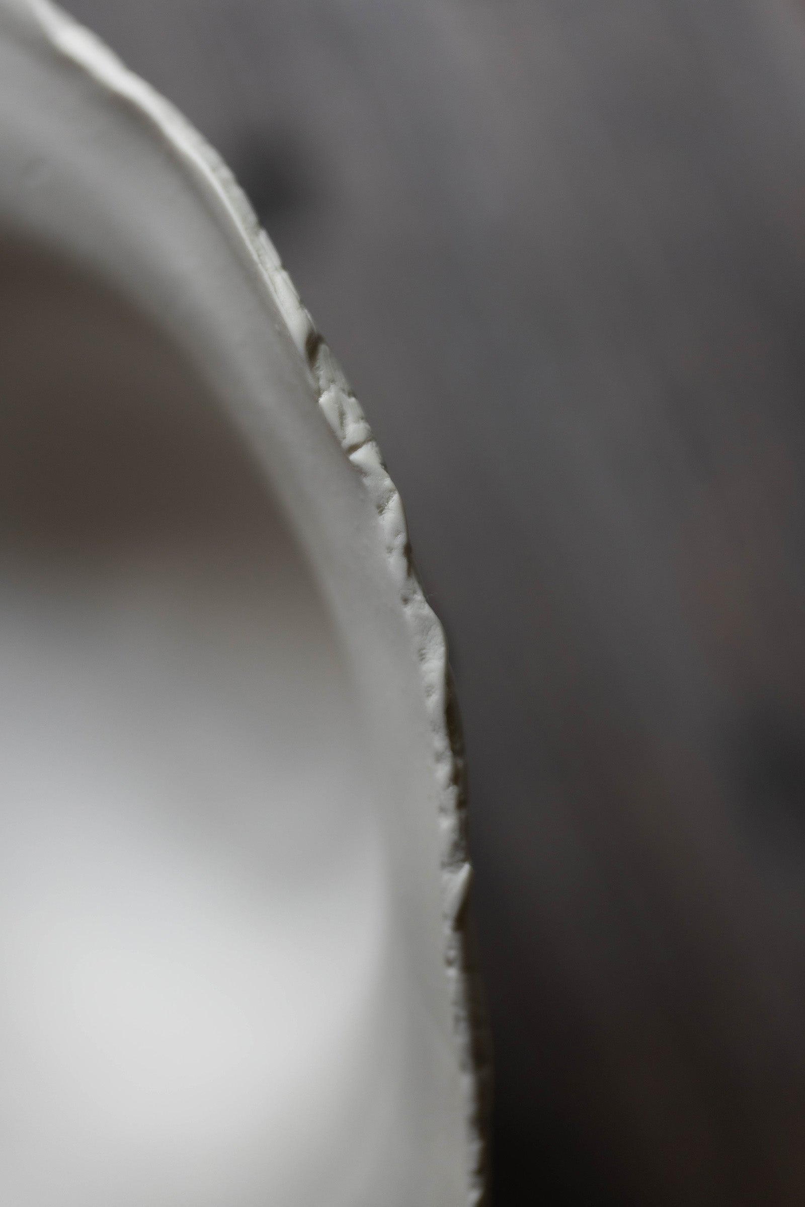 河合 和美 white bowl 椿鉢 K127