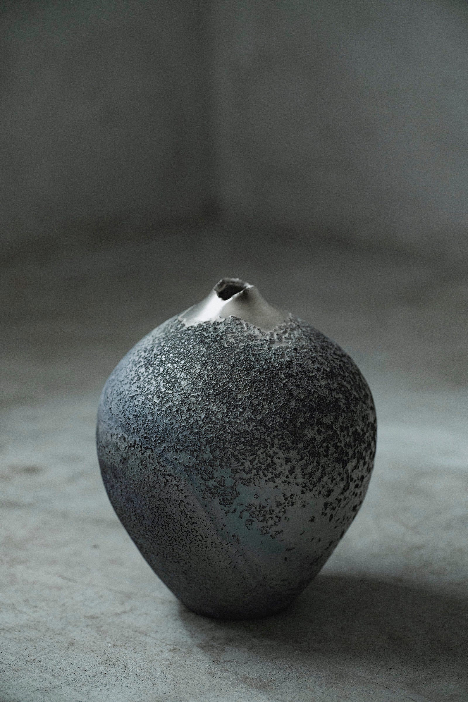 Ryuta Fukumura Silver Carbide Flower Vase 57