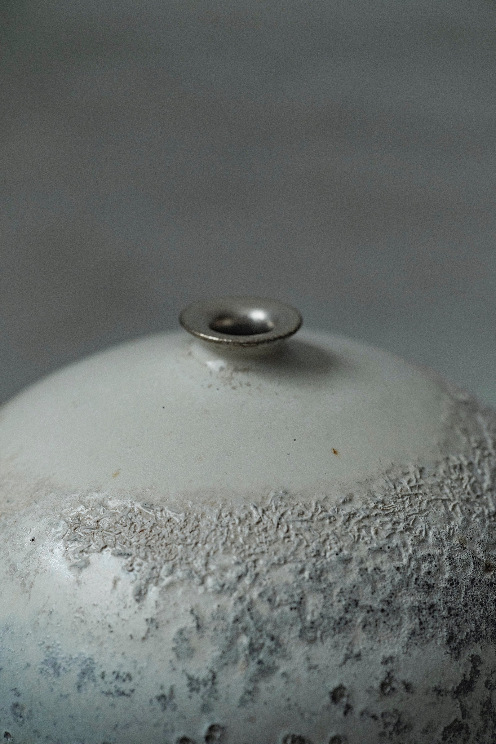 Ryuta Fukumura Silver Carbide Flower Vase 57