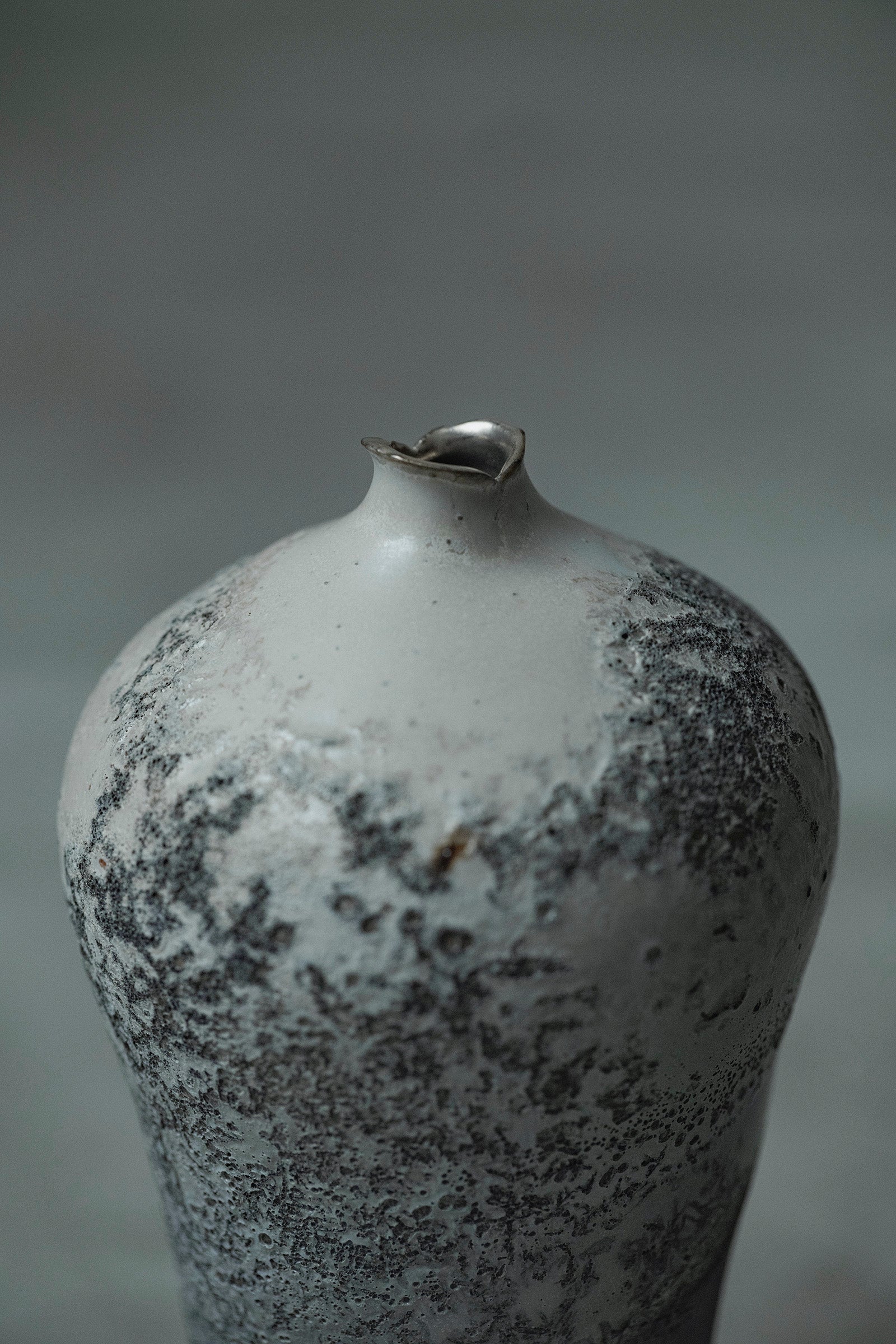 Ryuta Fukumura Silver Carbide Flower Vase 57