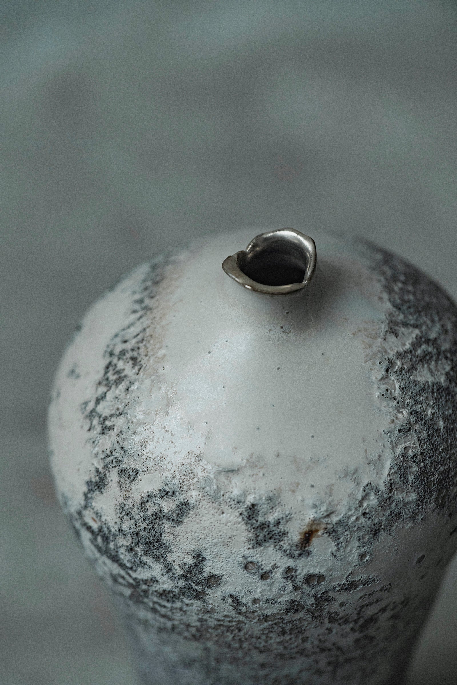 Ryuta Fukumura Silver Carbide Flower Vase 57