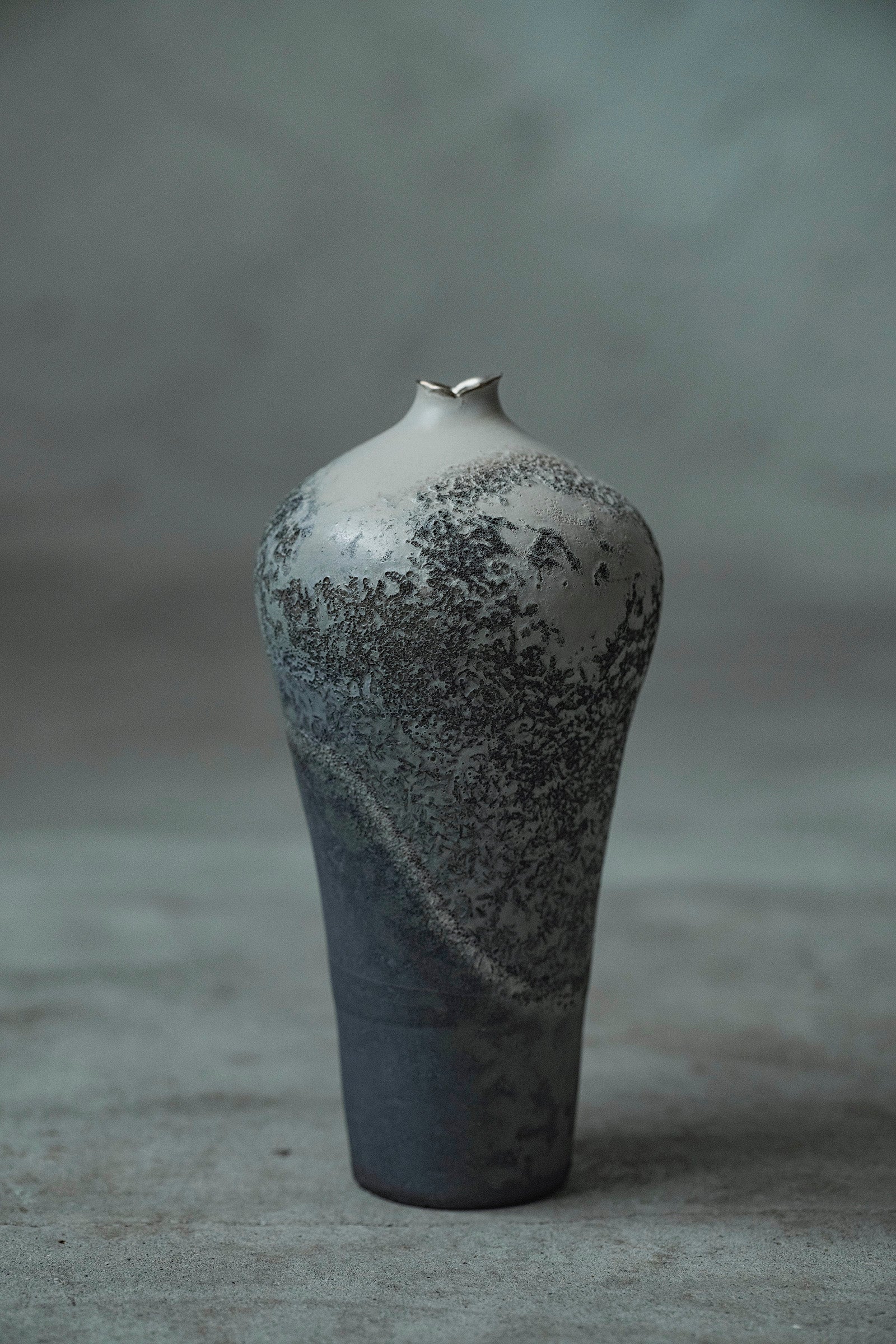 Ryuta Fukumura Silver Carbide Flower Vase 57