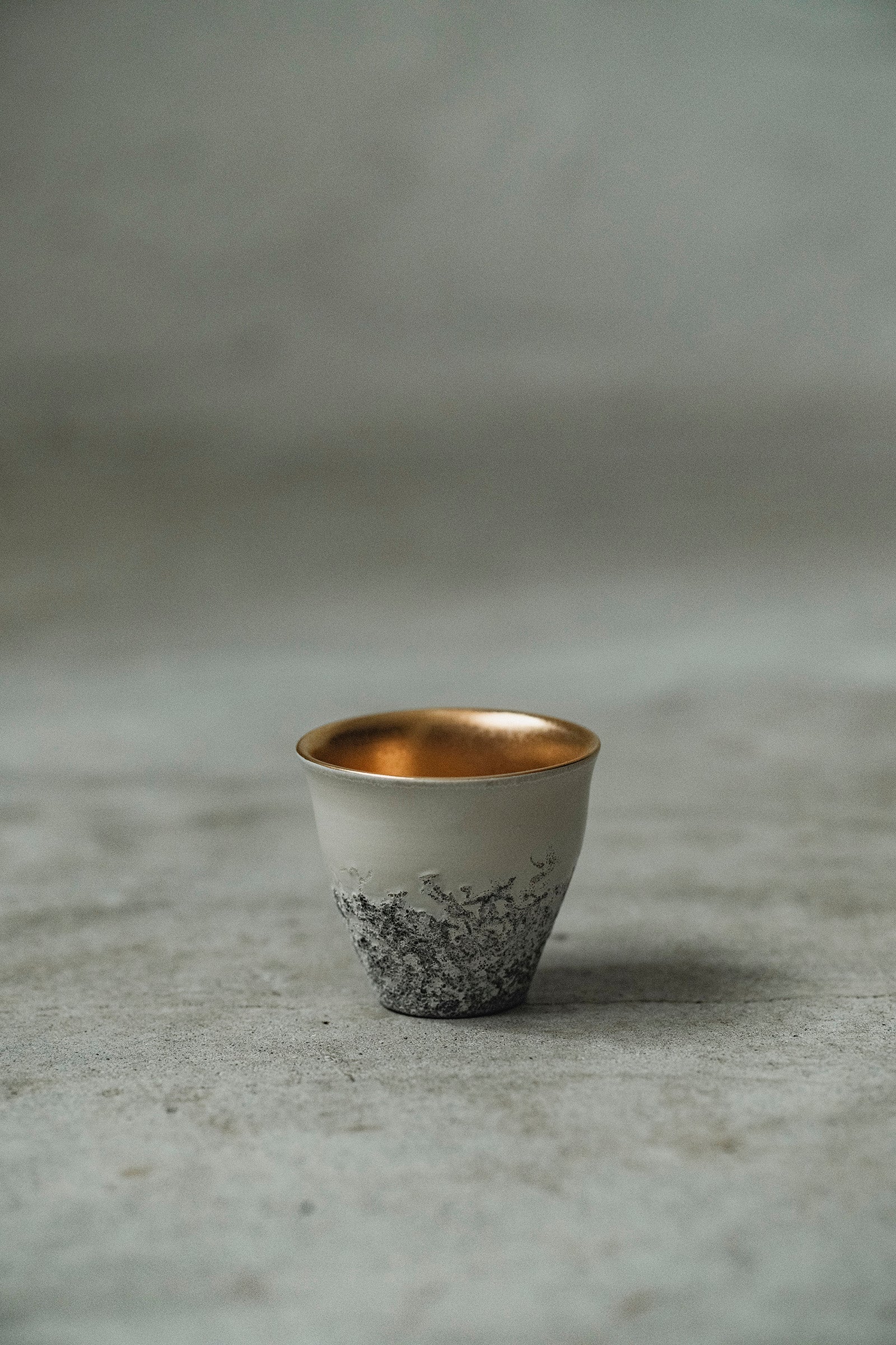 Ryuta Fukumura Silver Carbide Flower Vase 57