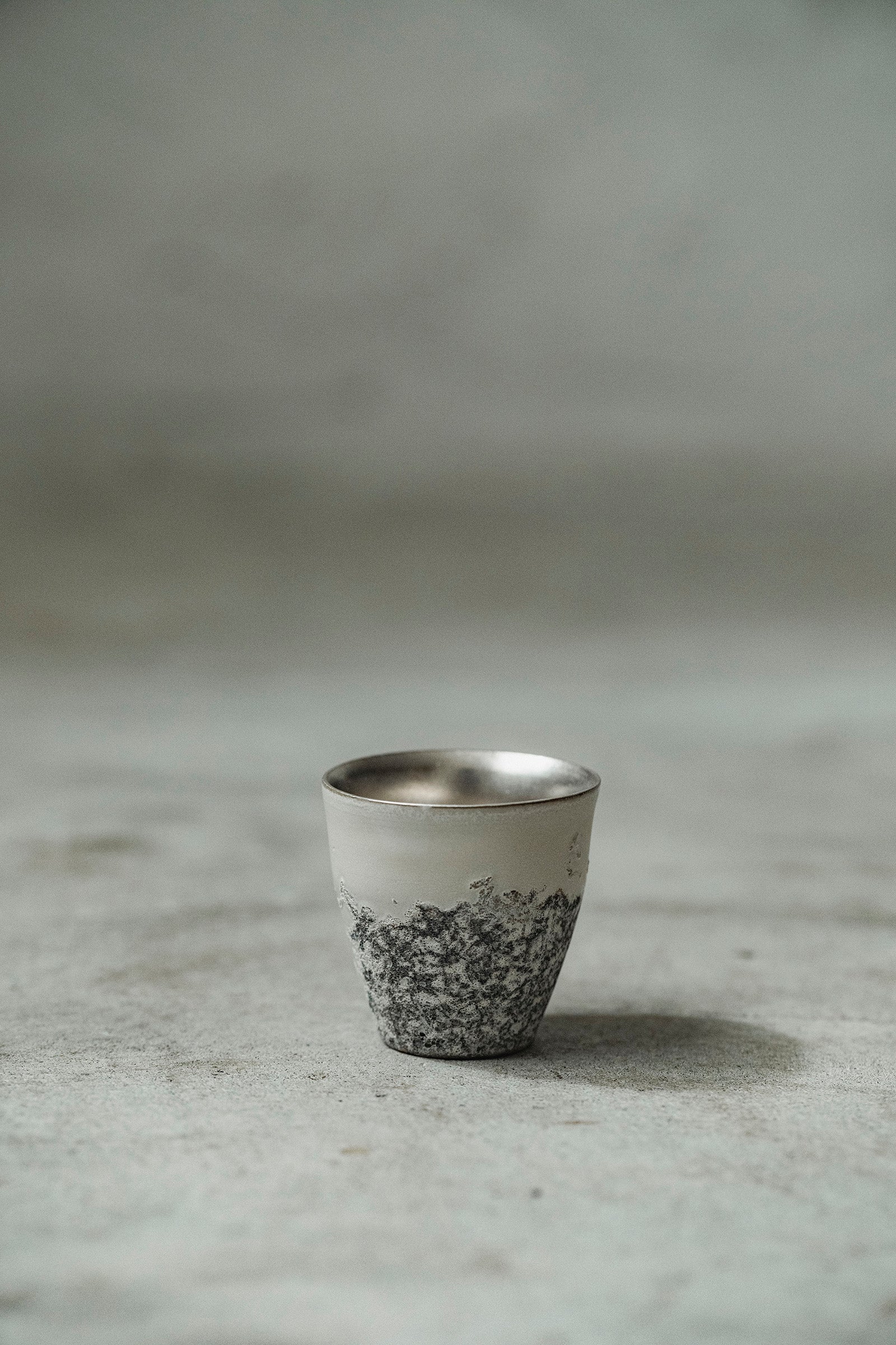 Ryuta Fukumura Silver Carbide Flower Vase 57