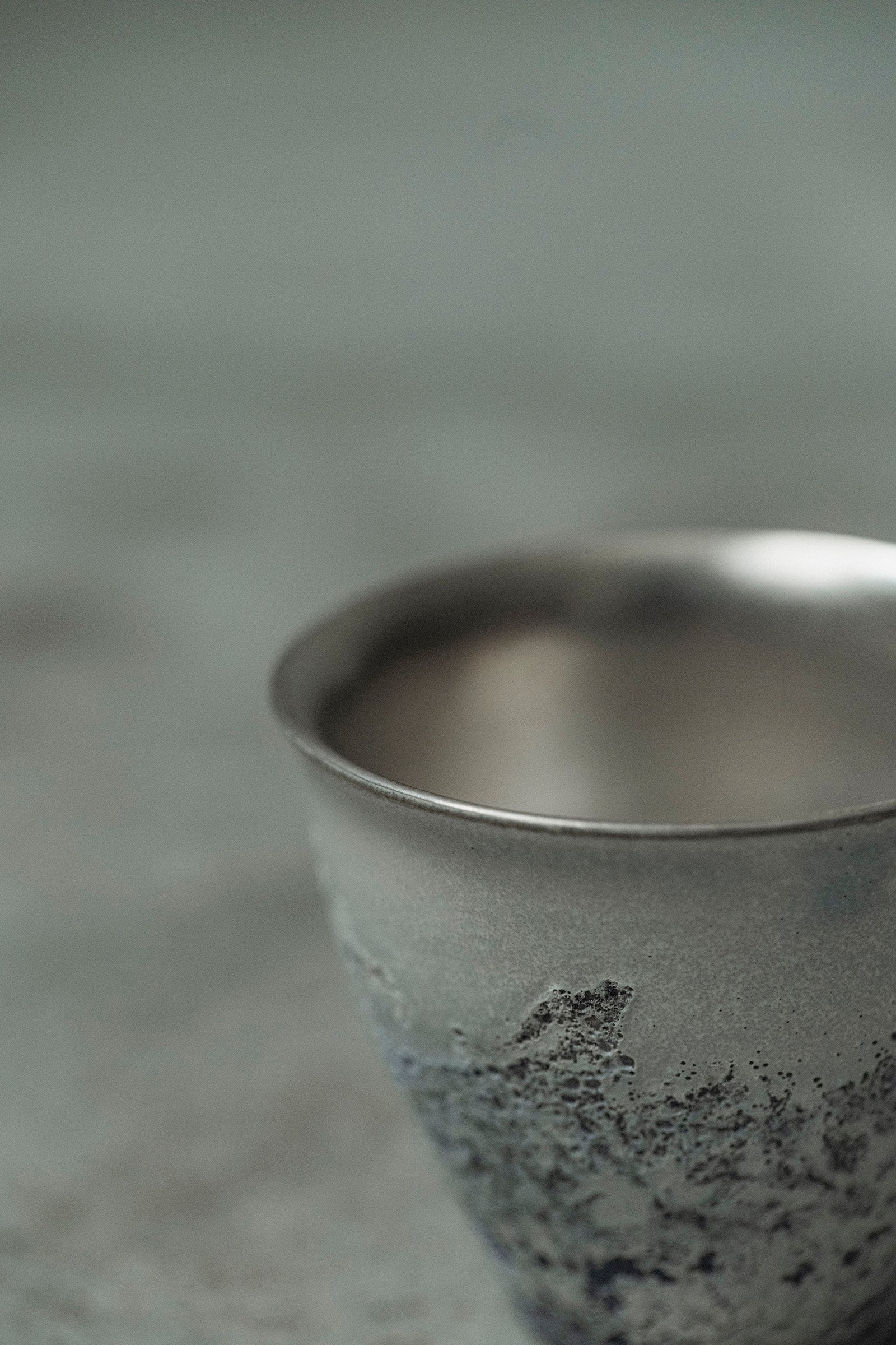 Ryuta Fukumura Silver Carbide Flower Vase 57