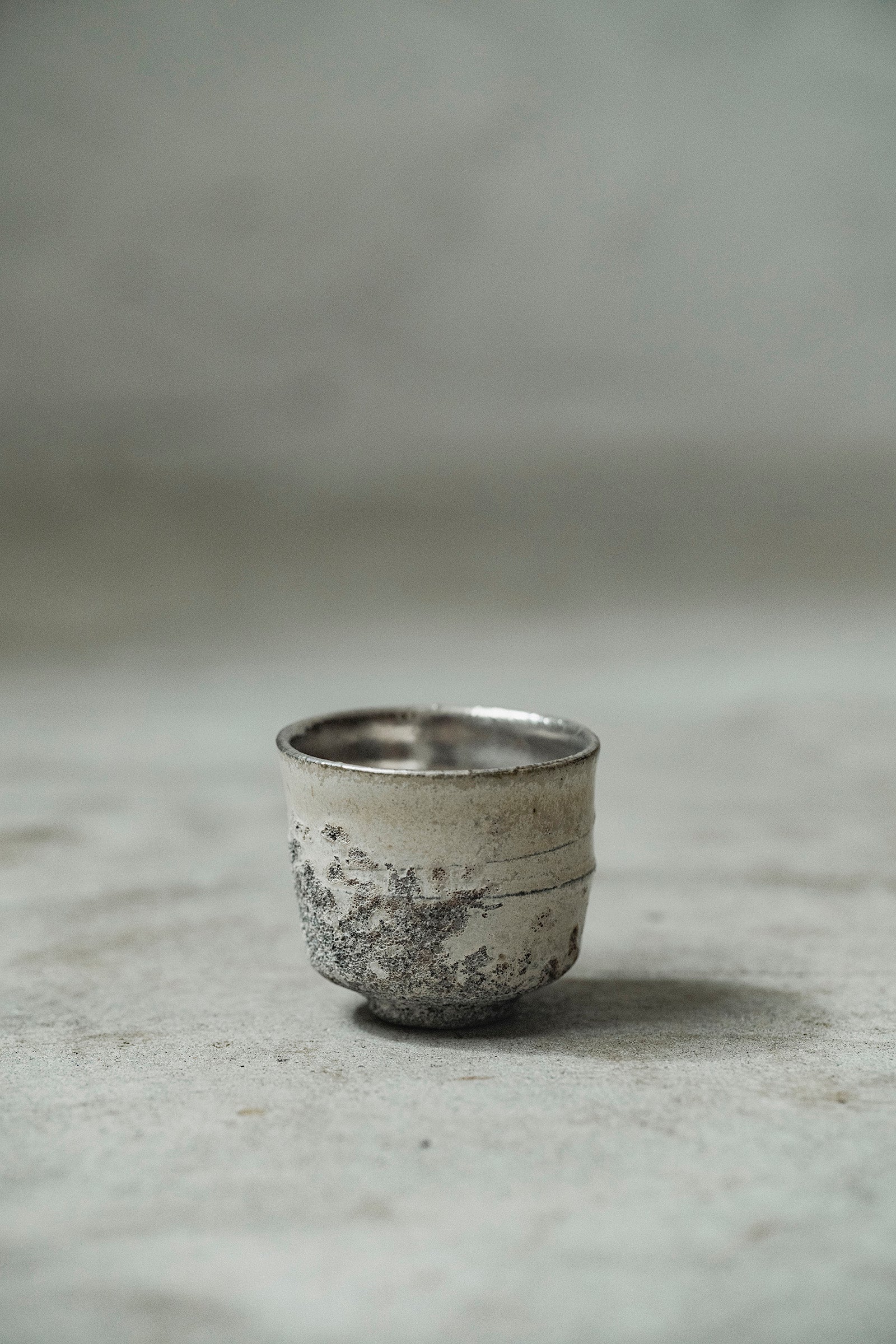 Ryuta Fukumura Silver Carbide Flower Vase 57