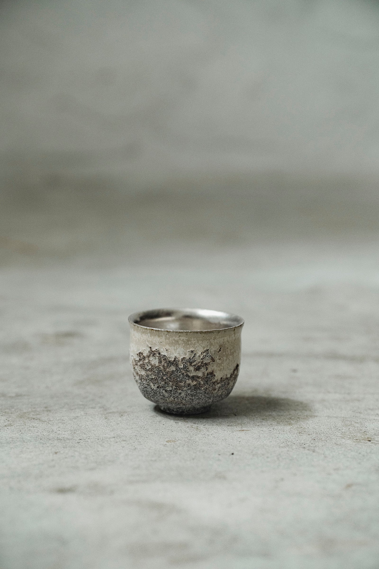 Ryuta Fukumura Silver Carbide Flower Vase 57