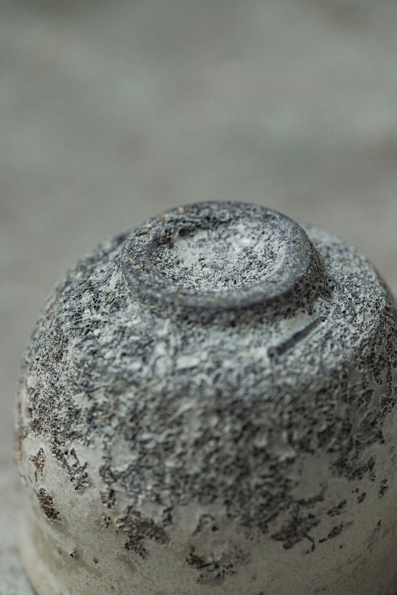 Ryuta Fukumura Silver Carbide Flower Vase 57