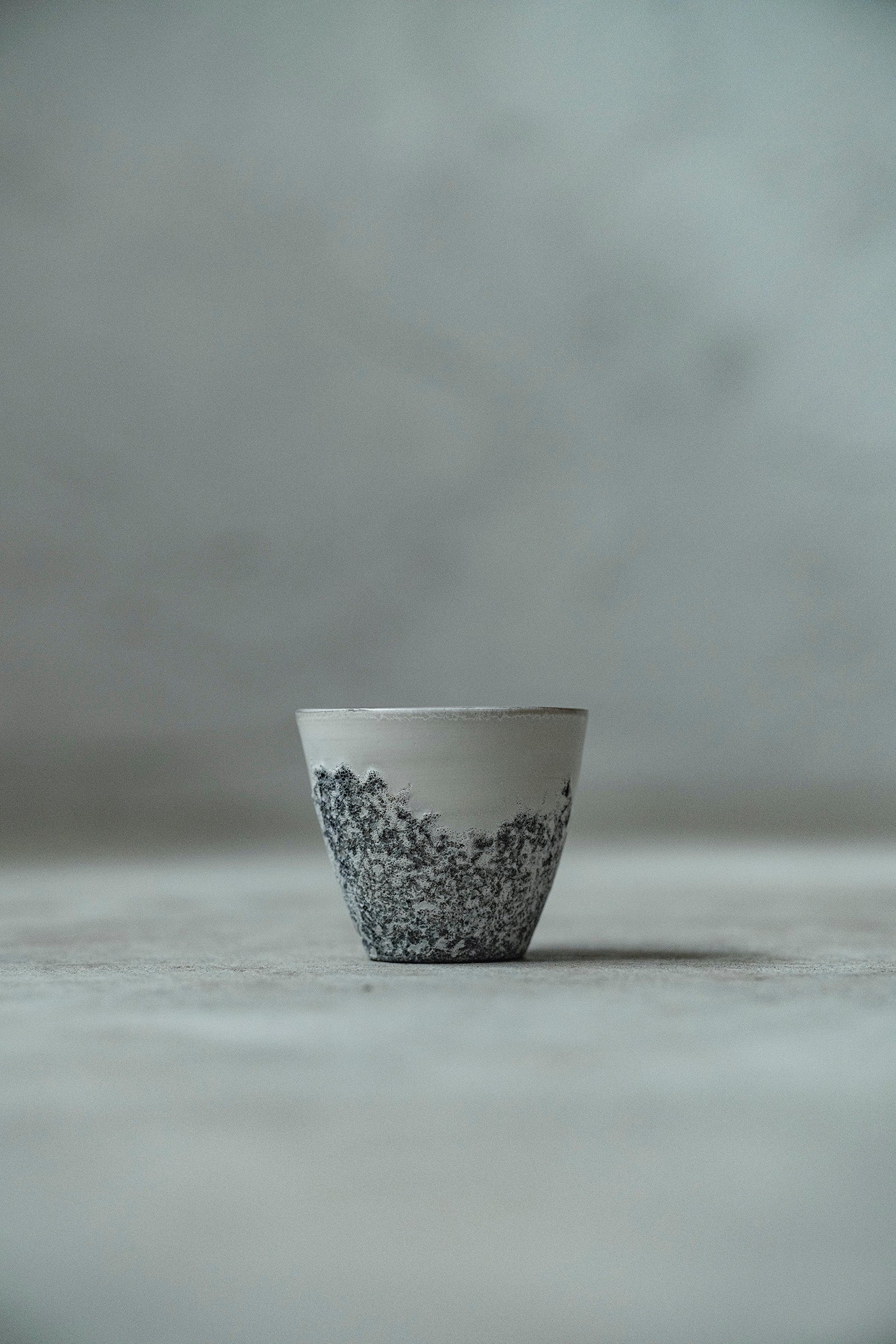 Ryuta Fukumura Silver Carbide Flower Vase 57