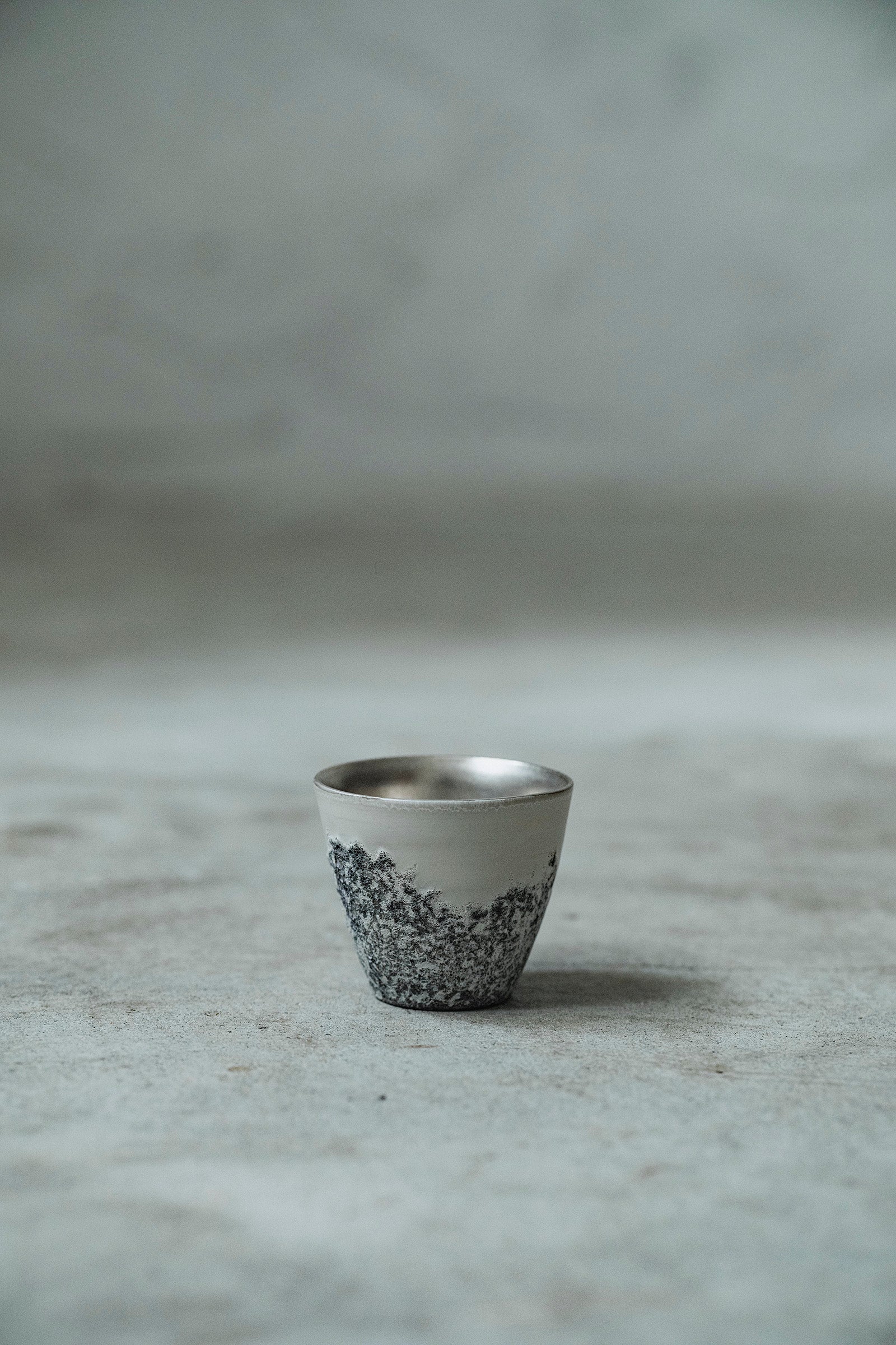 Ryuta Fukumura Silver Carbide Flower Vase 57