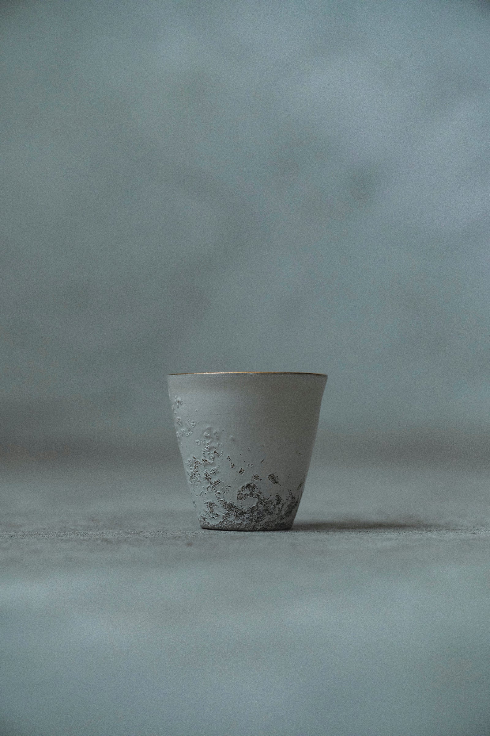 Ryuta Fukumura Silver Carbide Flower Vase 57