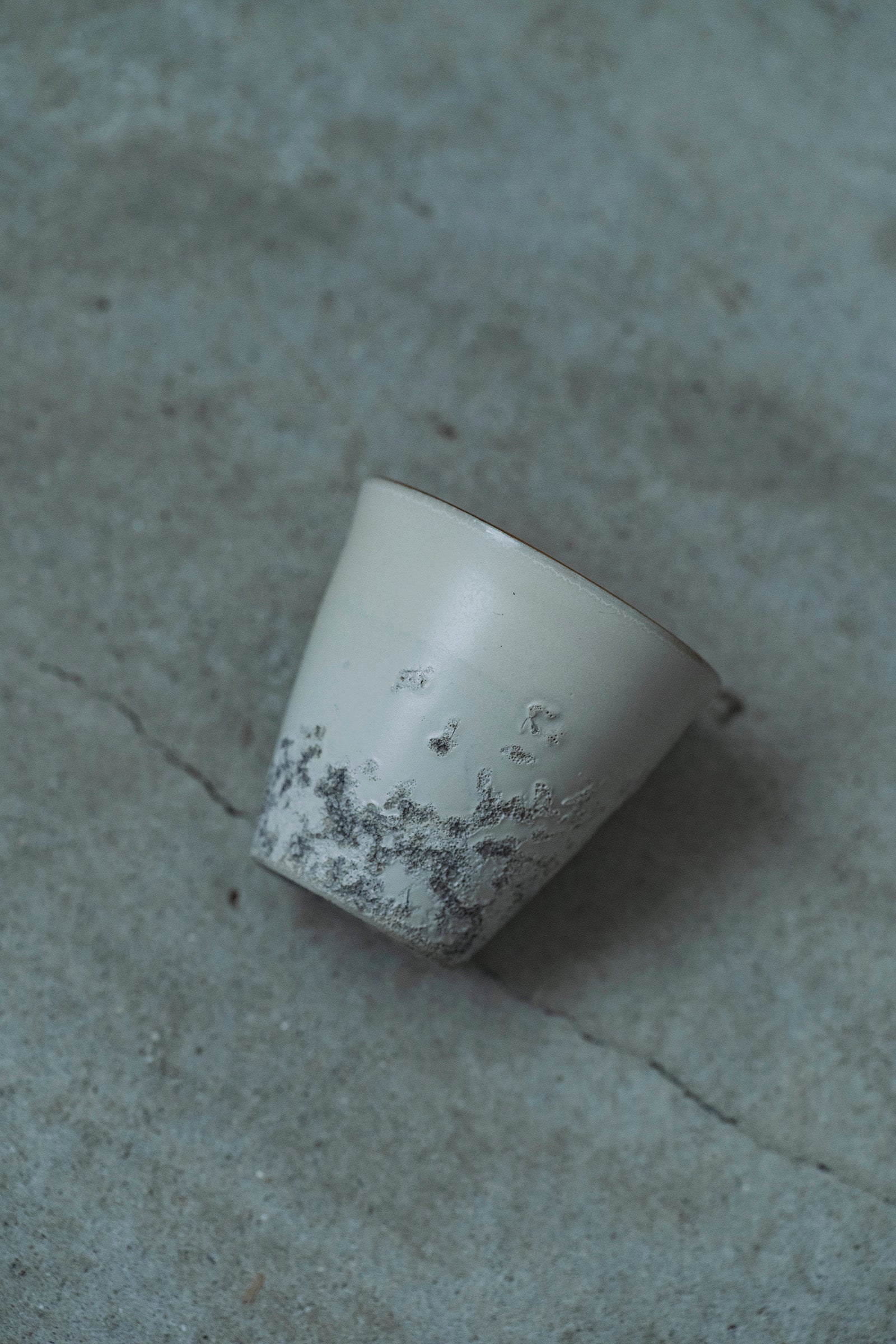 Ryuta Fukumura Silver Carbide Flower Vase 57