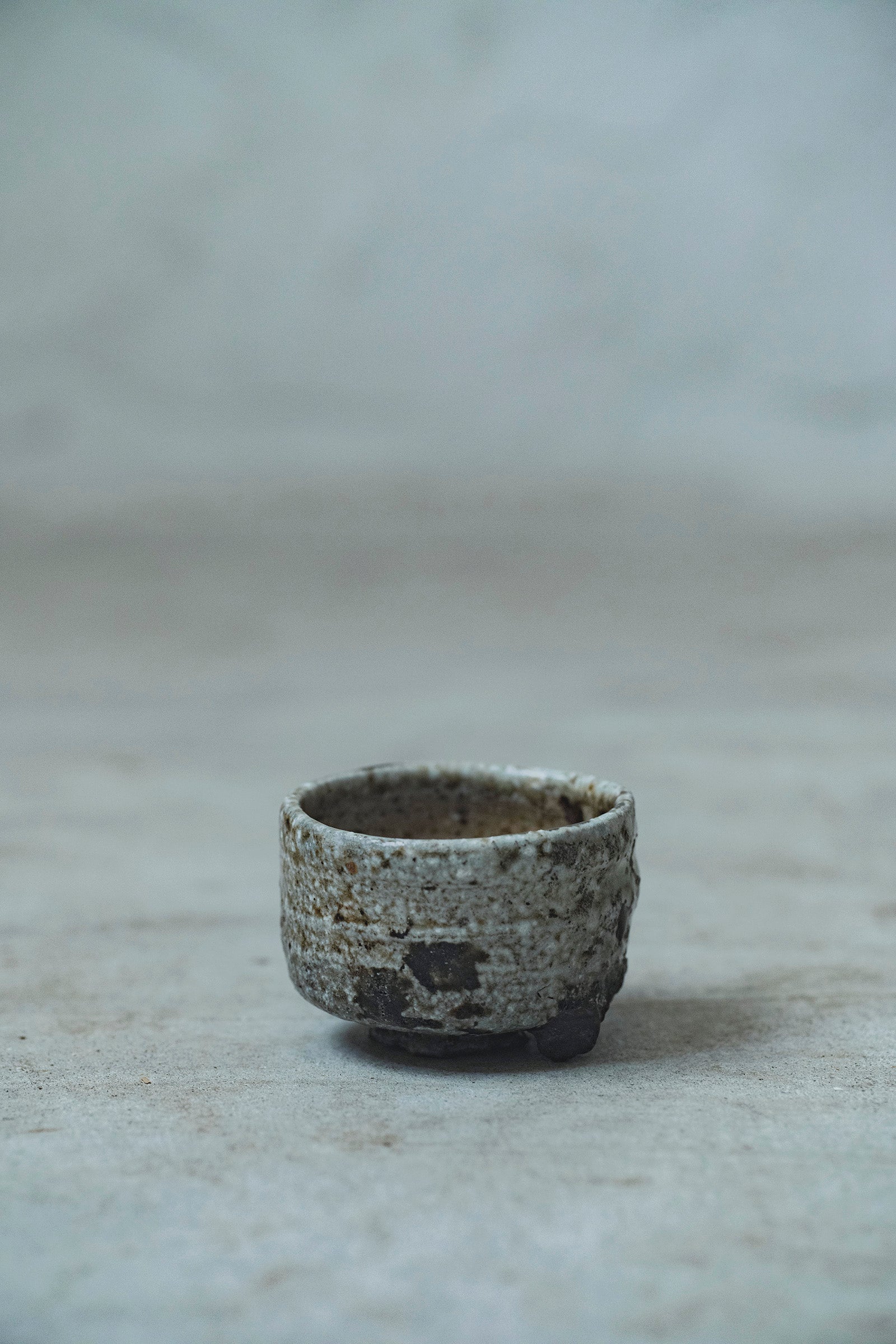 Ryuta Fukumura Silver Carbide Flower Vase 57