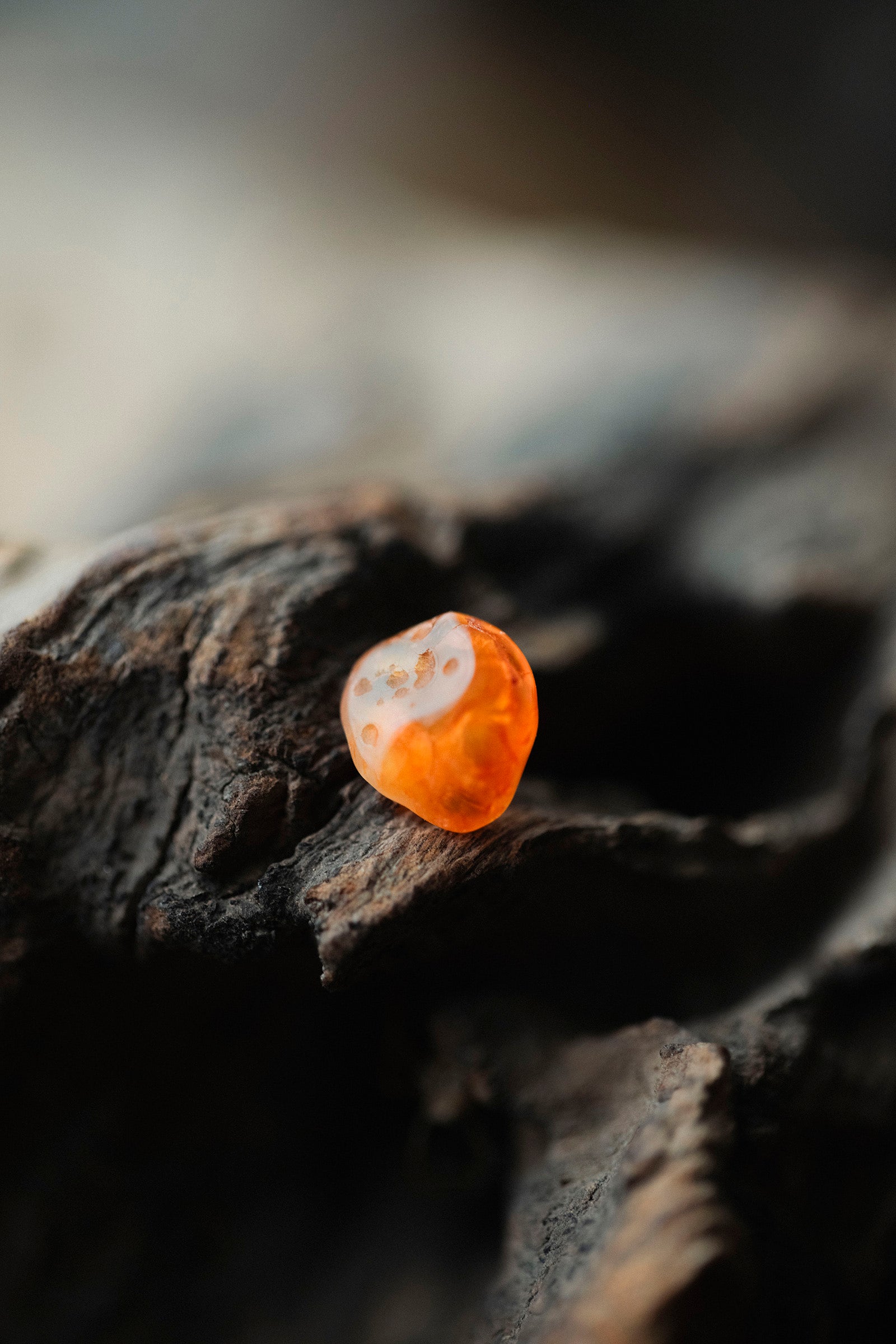 18K carnelian rough stone earrings (pair)