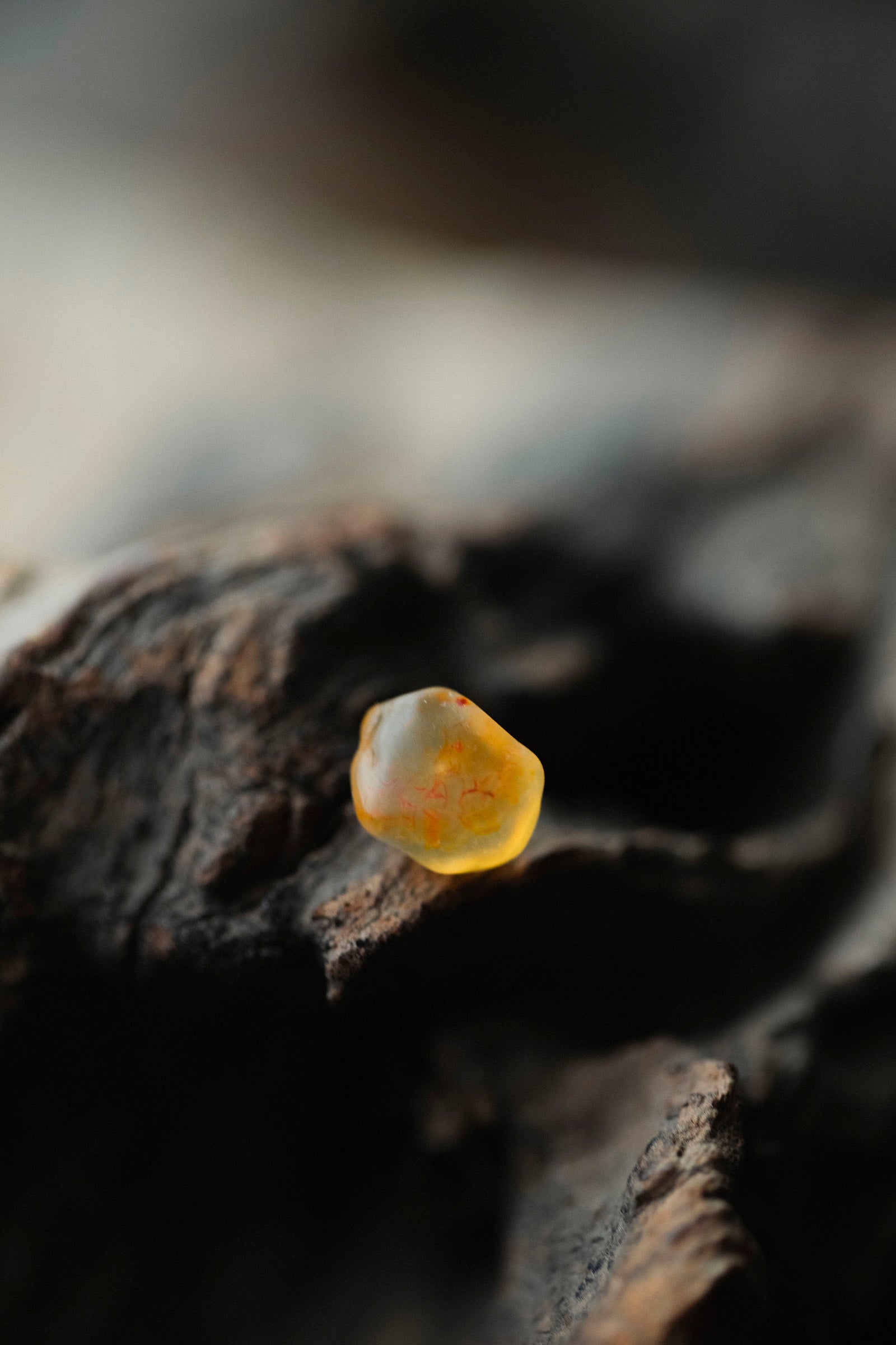 18K carnelian rough stone earrings (pair)