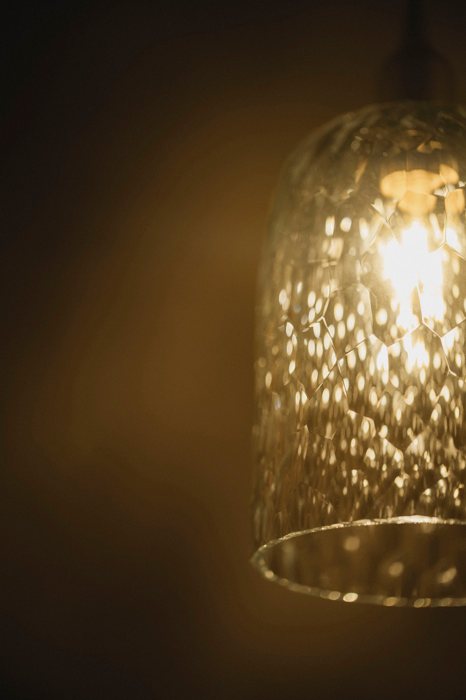 西垣 聡 Valo lamp shade 34