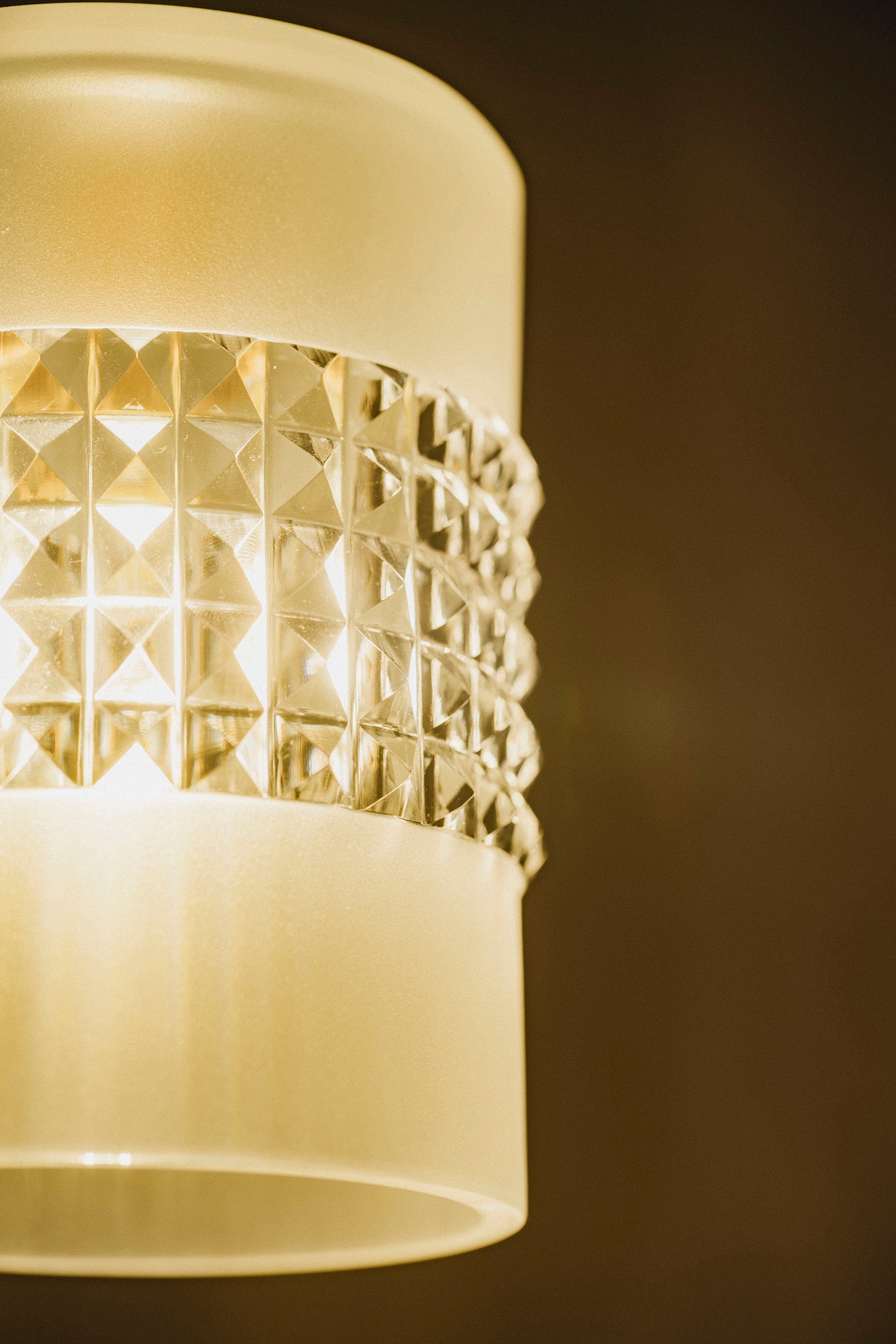 西垣 聡 Highlights lamp shade