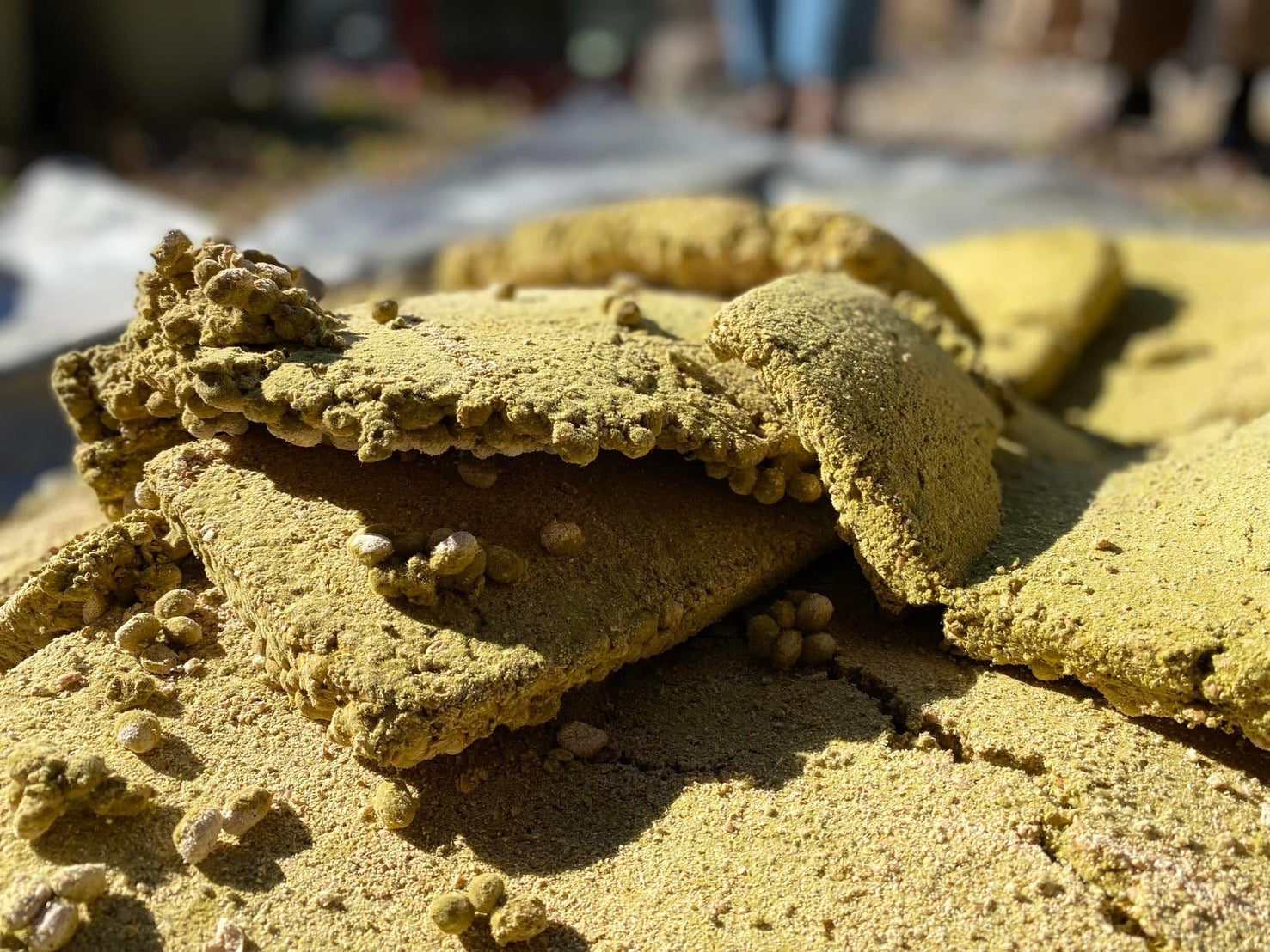 講座 「醤油の会」