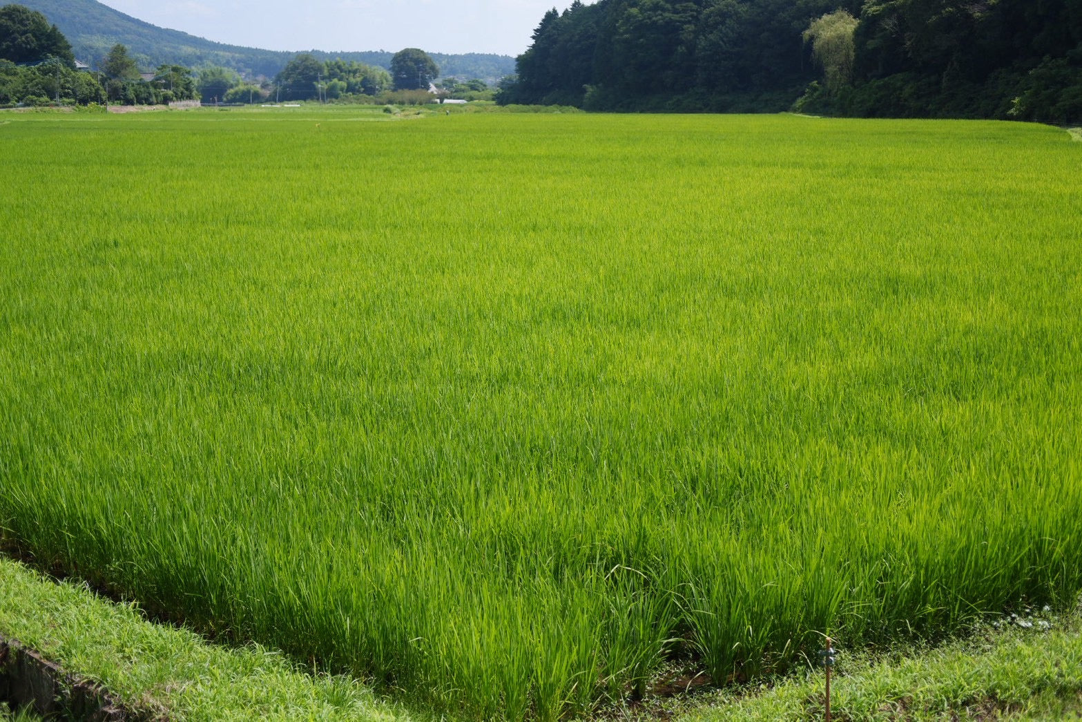 家族を想う旅