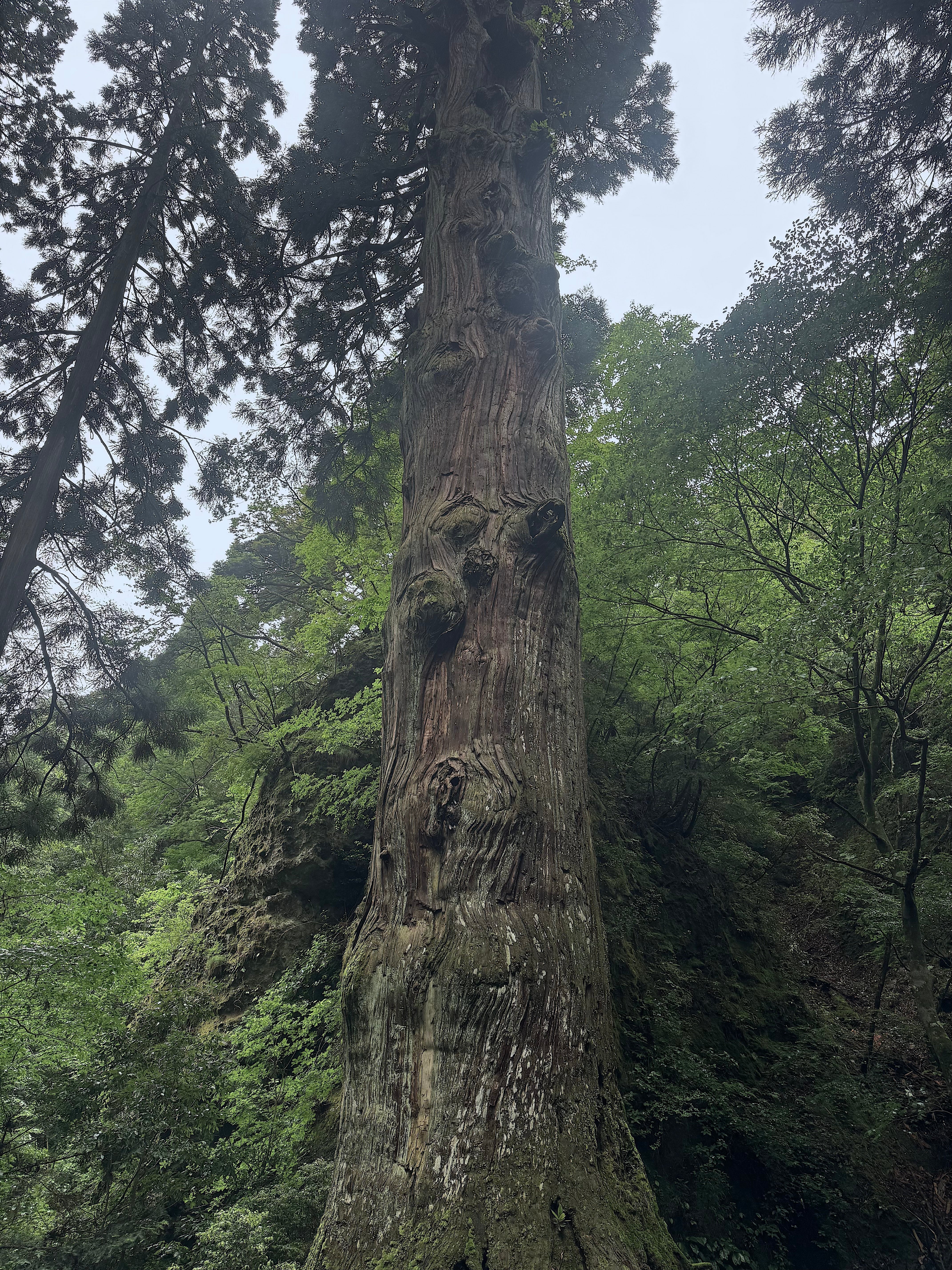 世界は、心と響き合っている