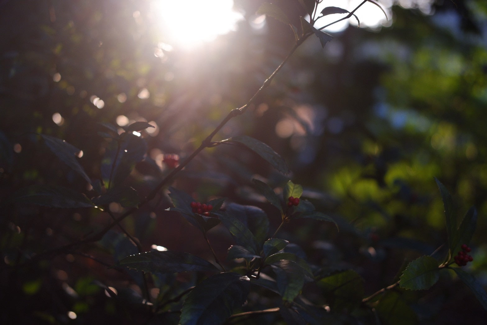 味わい深い一年