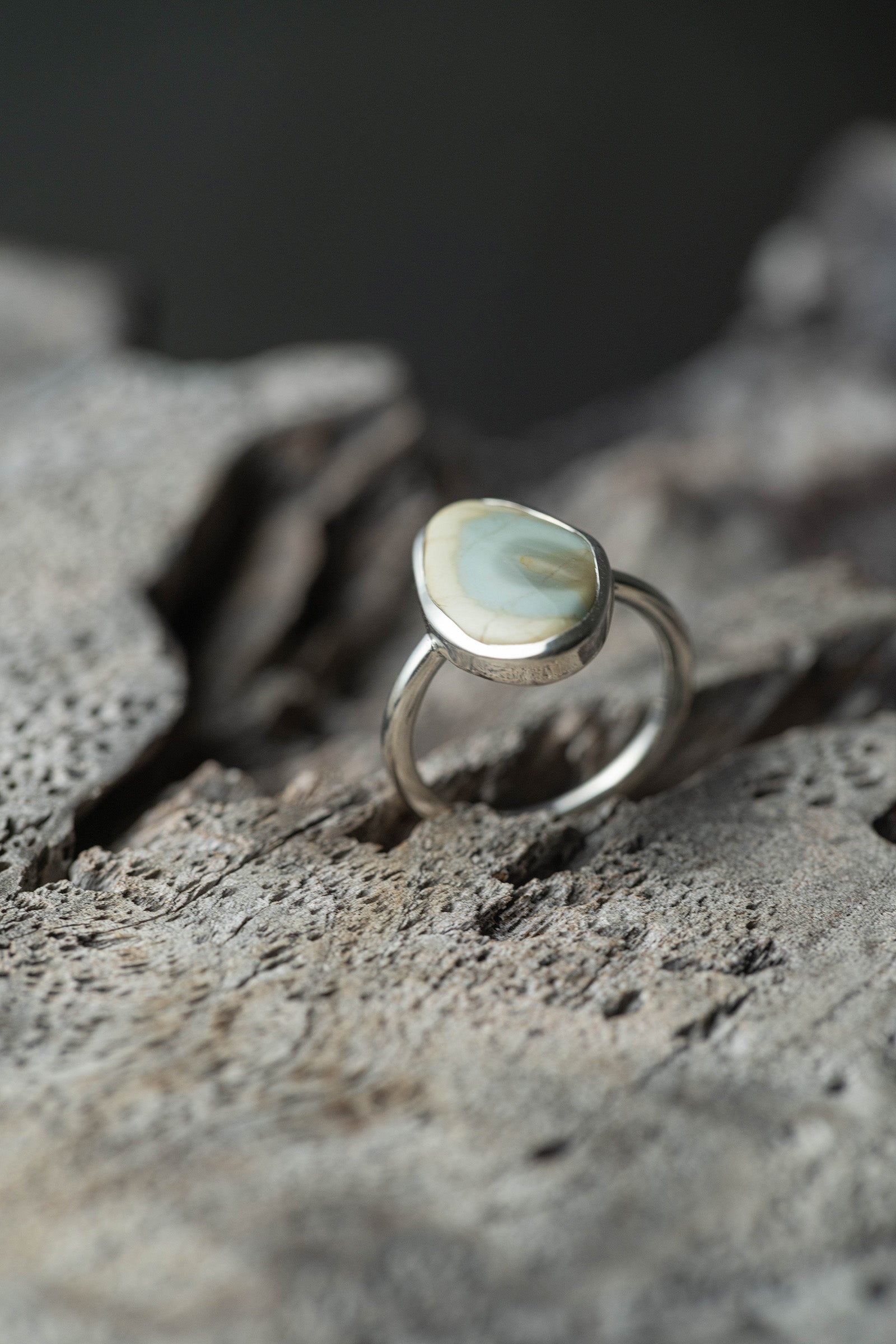 silver ring  2mm  jasper 　　　　　