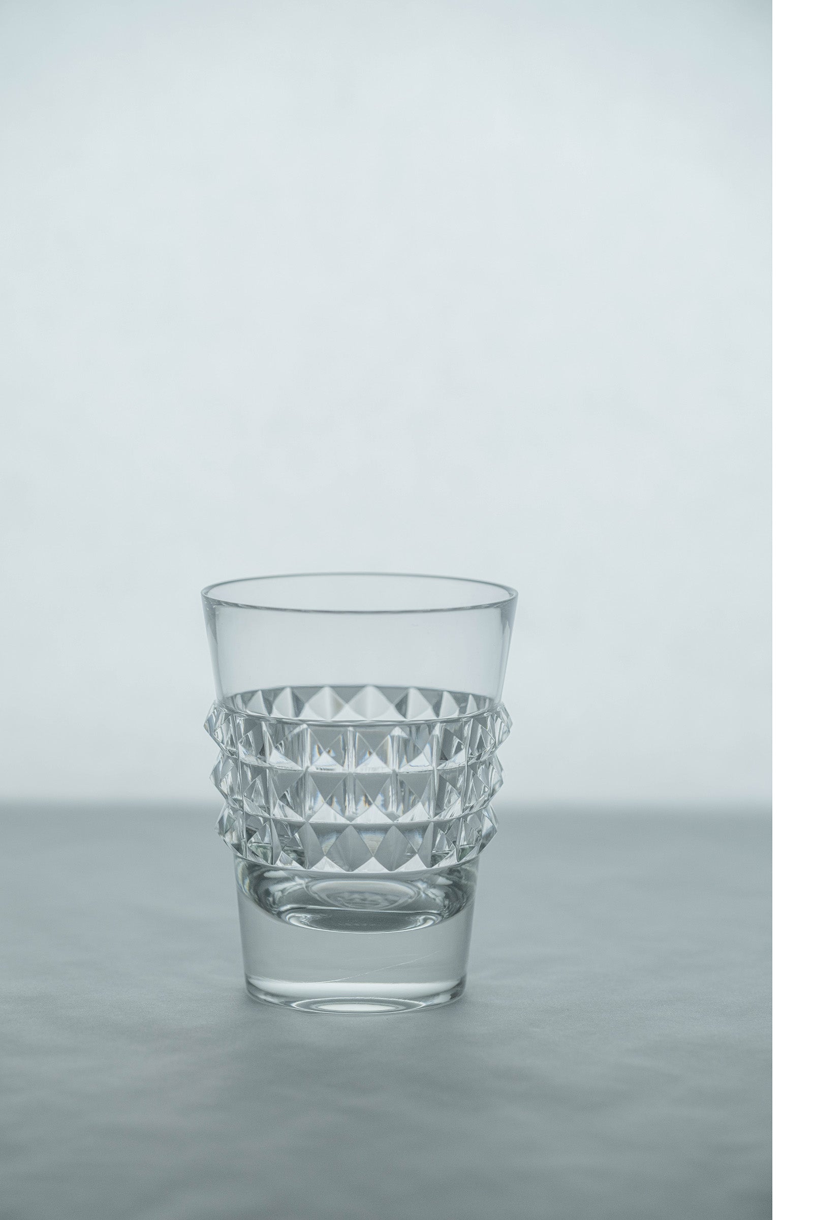 西垣 聡  Highlights tumbler 2-d