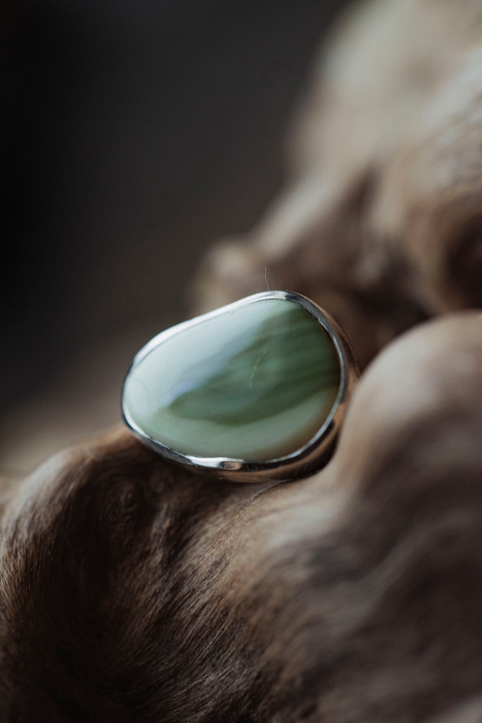 silver earrings single jasper -1