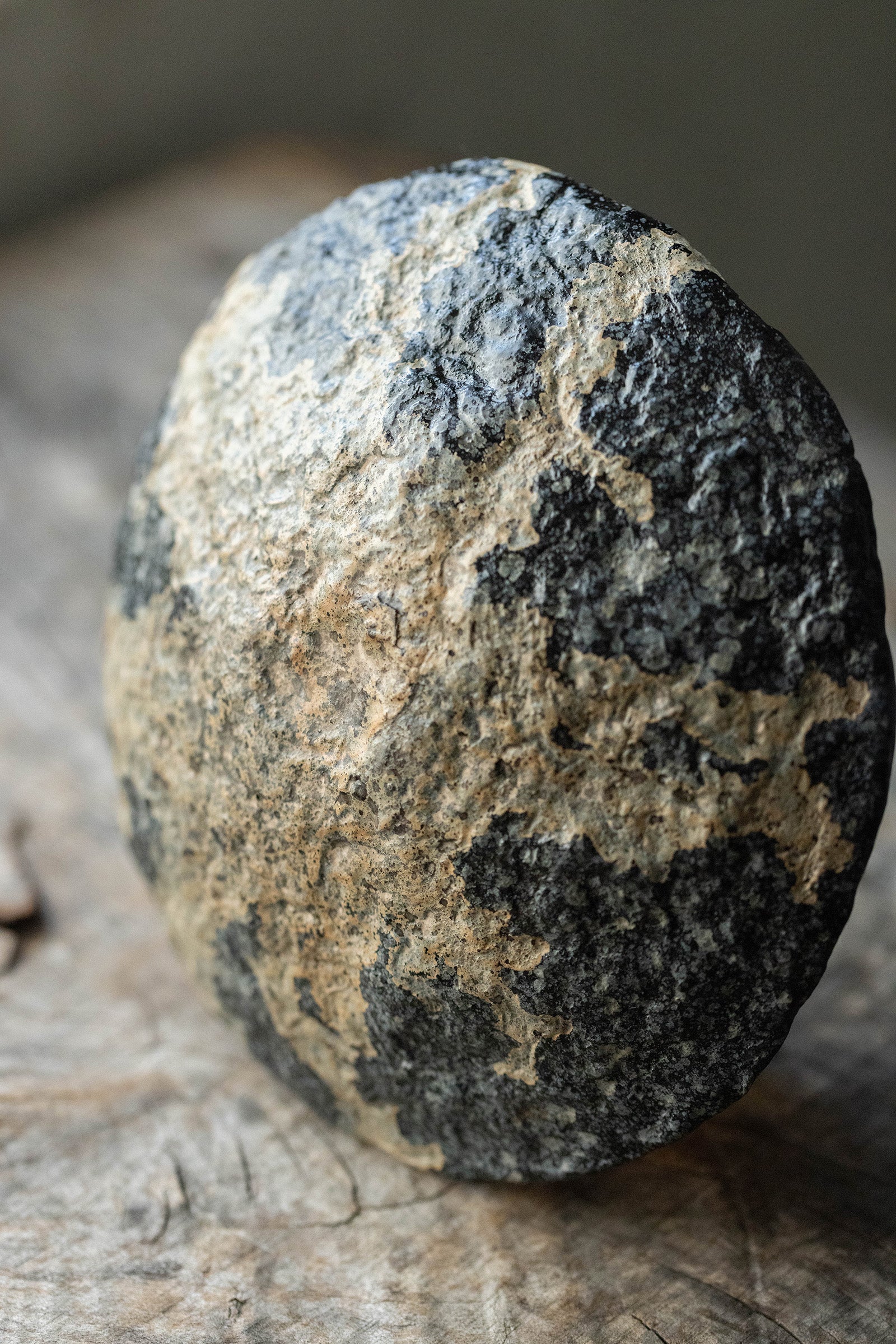 小野友寛 紙麻漆器  球皿  TO-K2