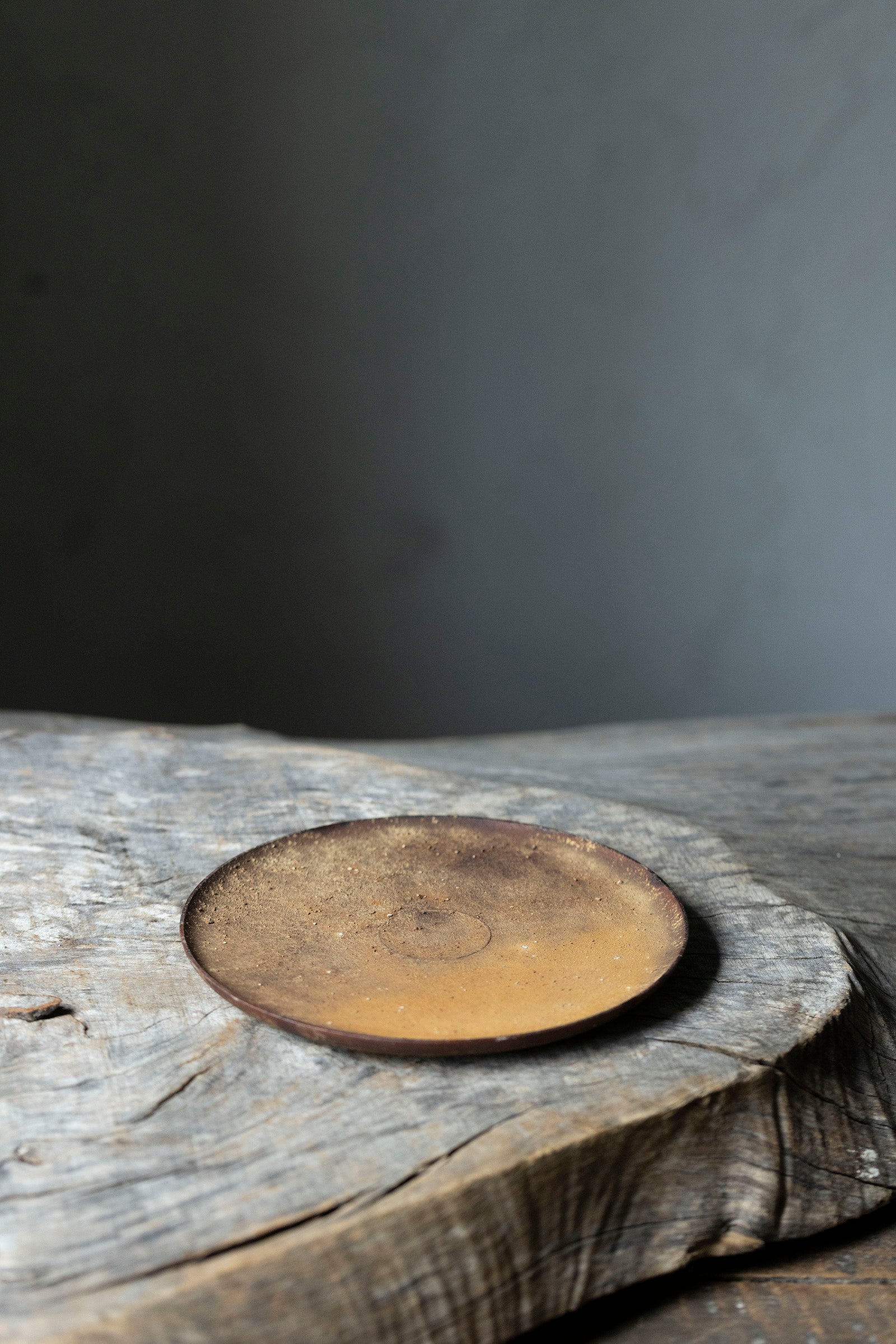 督田昌巳   托平皿 551