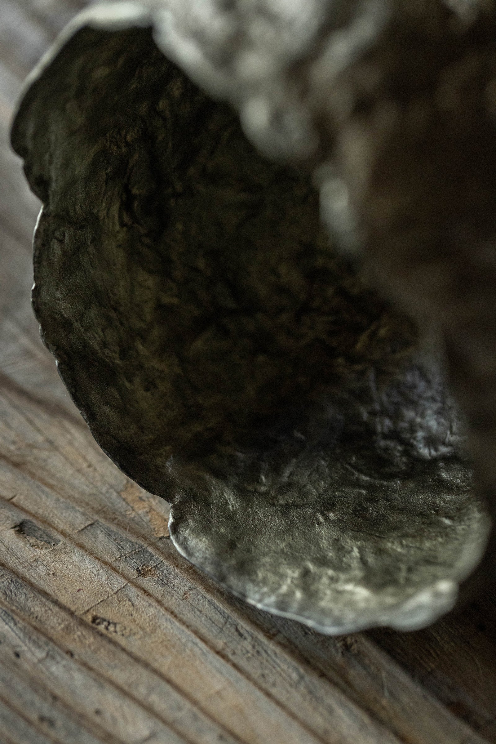 小野友寛  紙麻漆器  錫石鉢 M  TO-H1