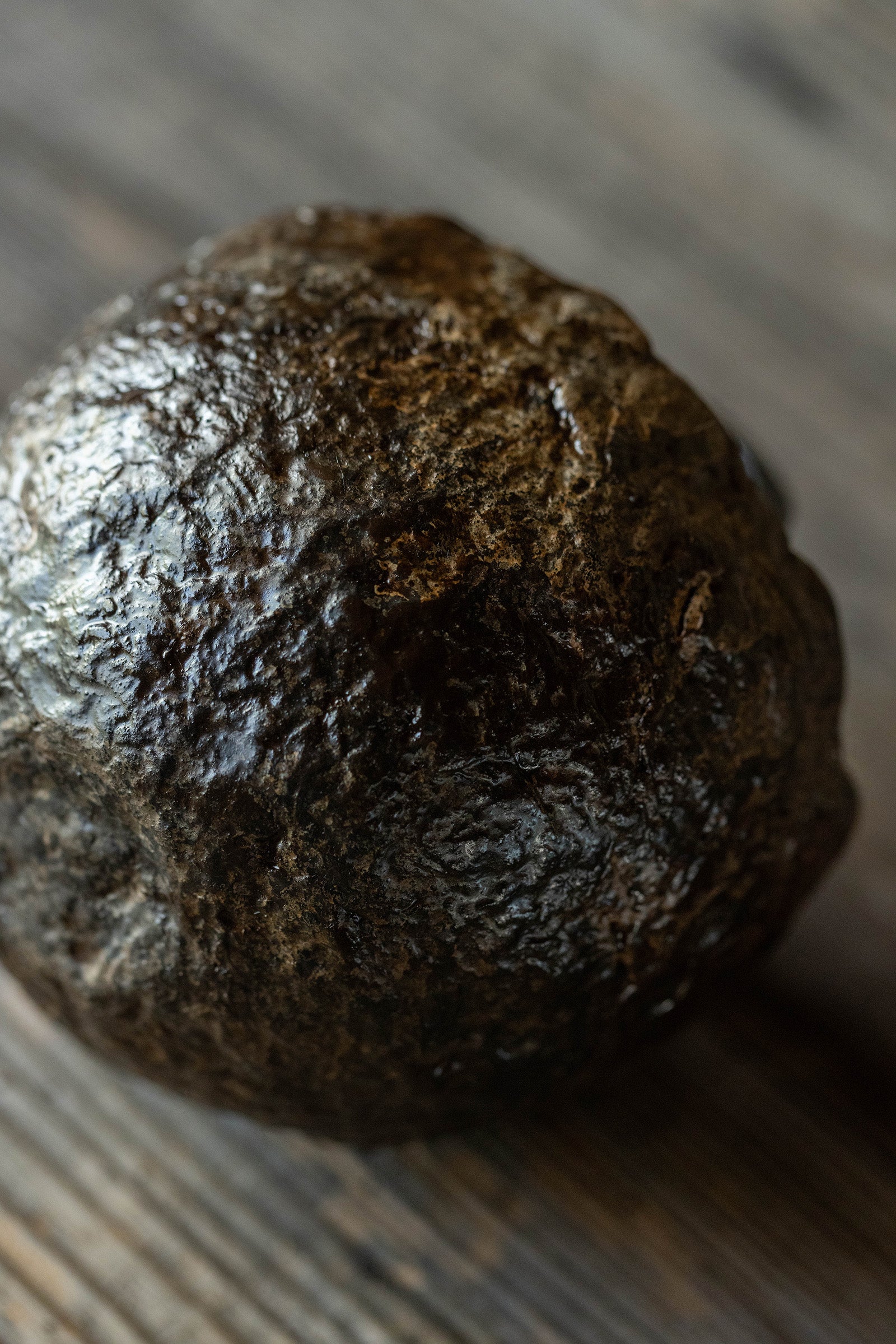 小野友寛  紙麻漆器  鉢M  TO-F8