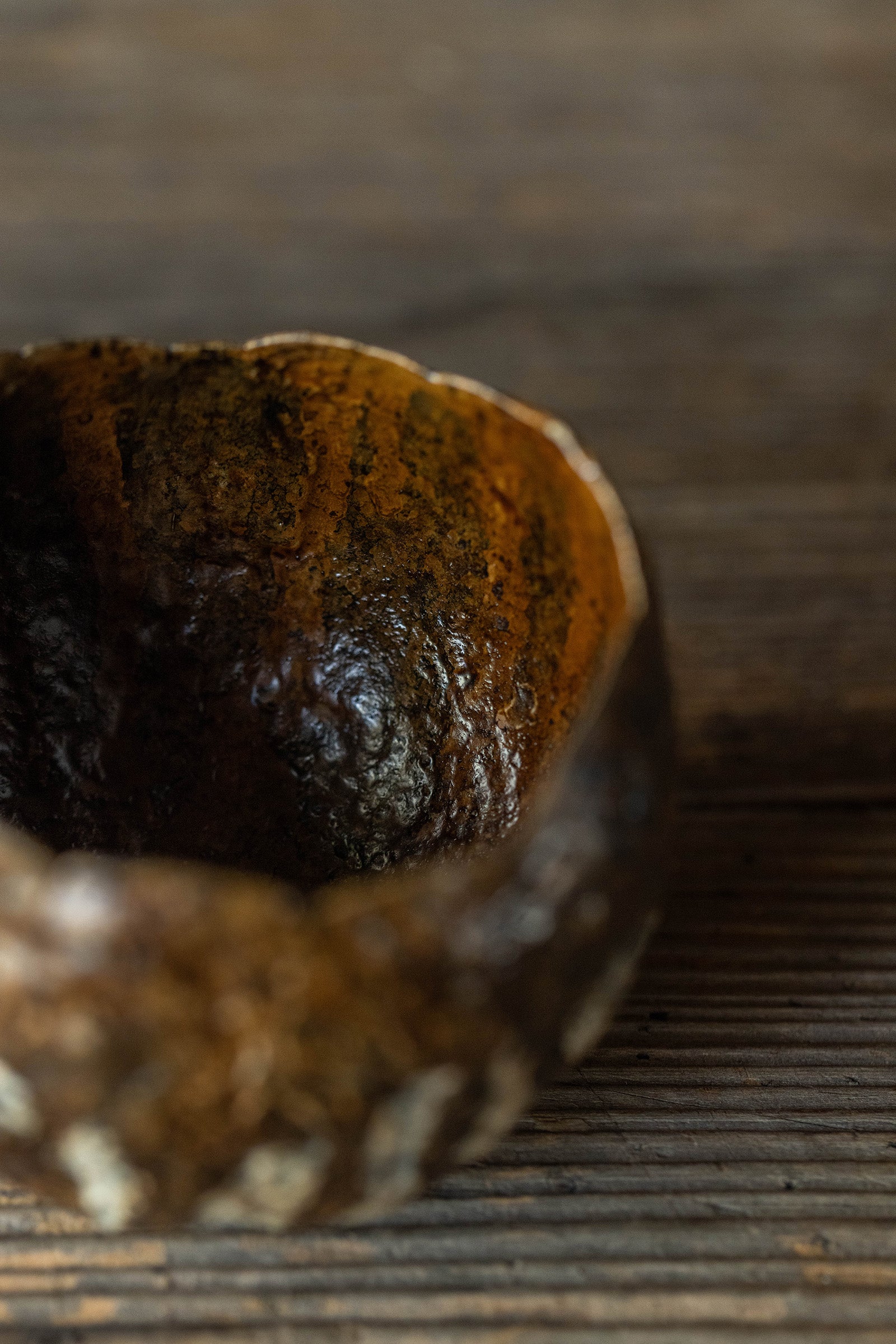 小野友寛  紙麻漆器  球盌S  TO-A10 陳さま専用