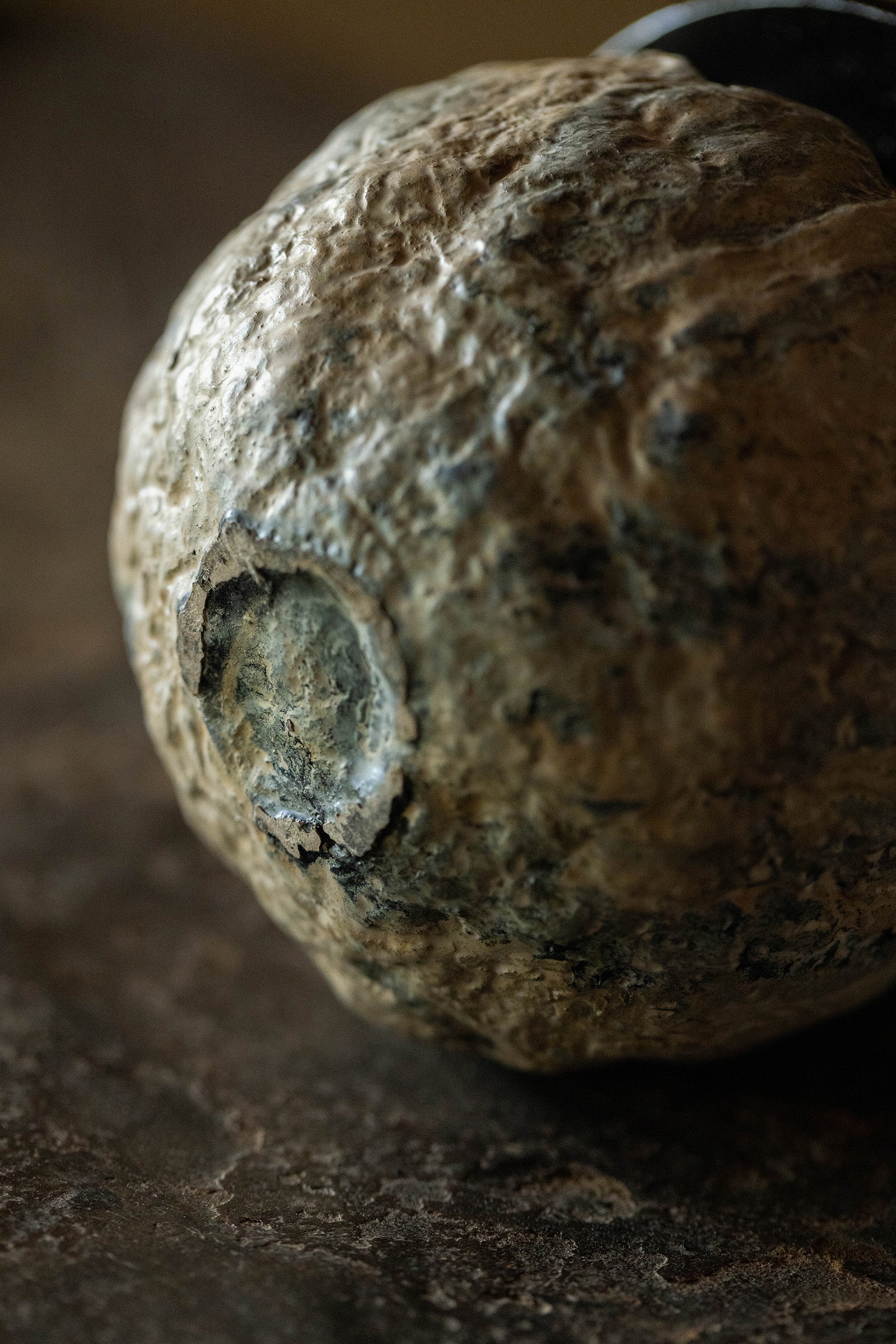 小野友寛  紙麻漆器  球盌M  TO-B6